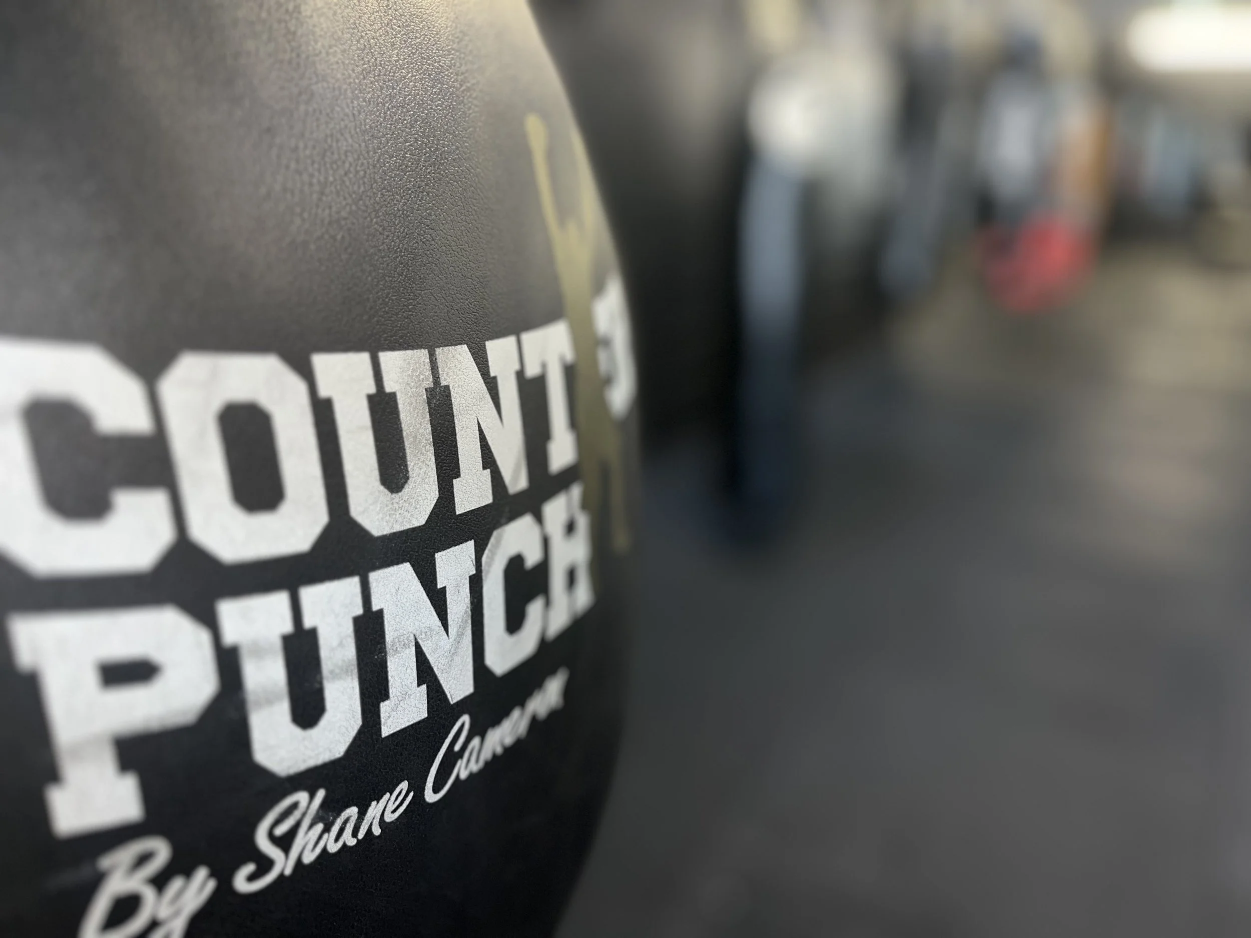 Close-up of a black vehicle with a decal that reads 'COUNT PUNCH BY SHANE CIMINO' in white lettering, with blurred vehicles in the background.