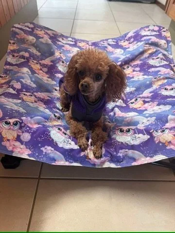 Dog Bed Covers