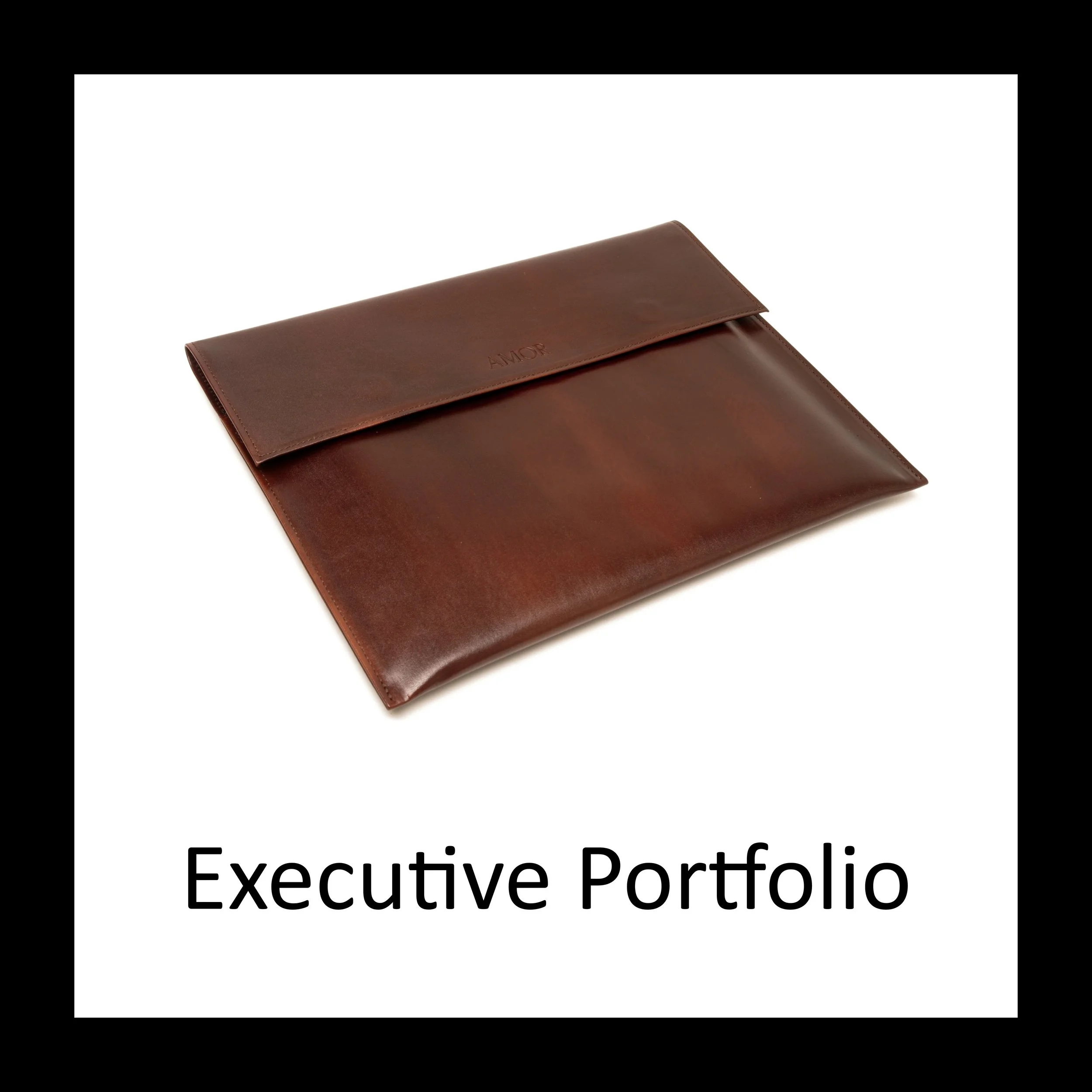 Executive Portfolio
