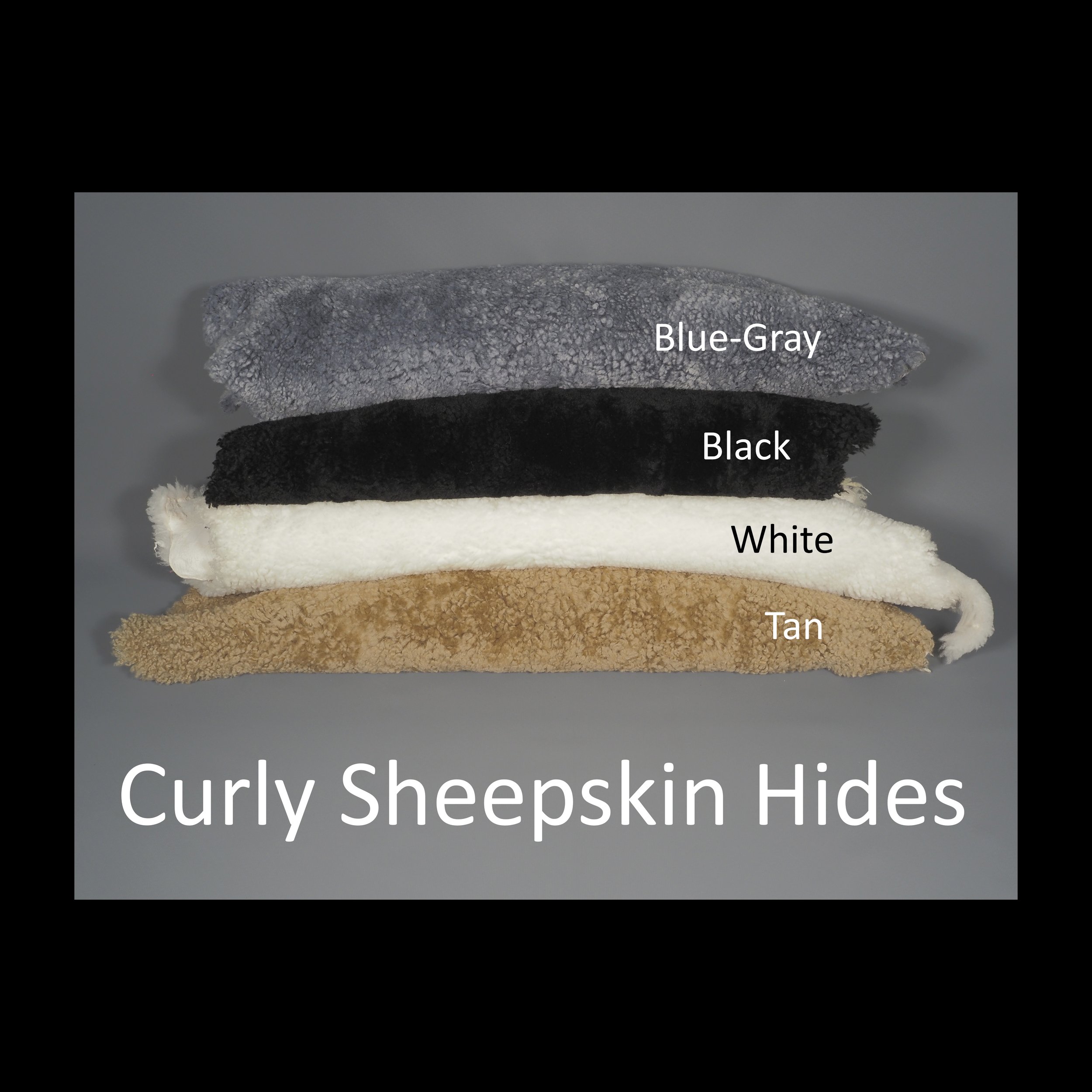 CURLY Sheepskin Hides