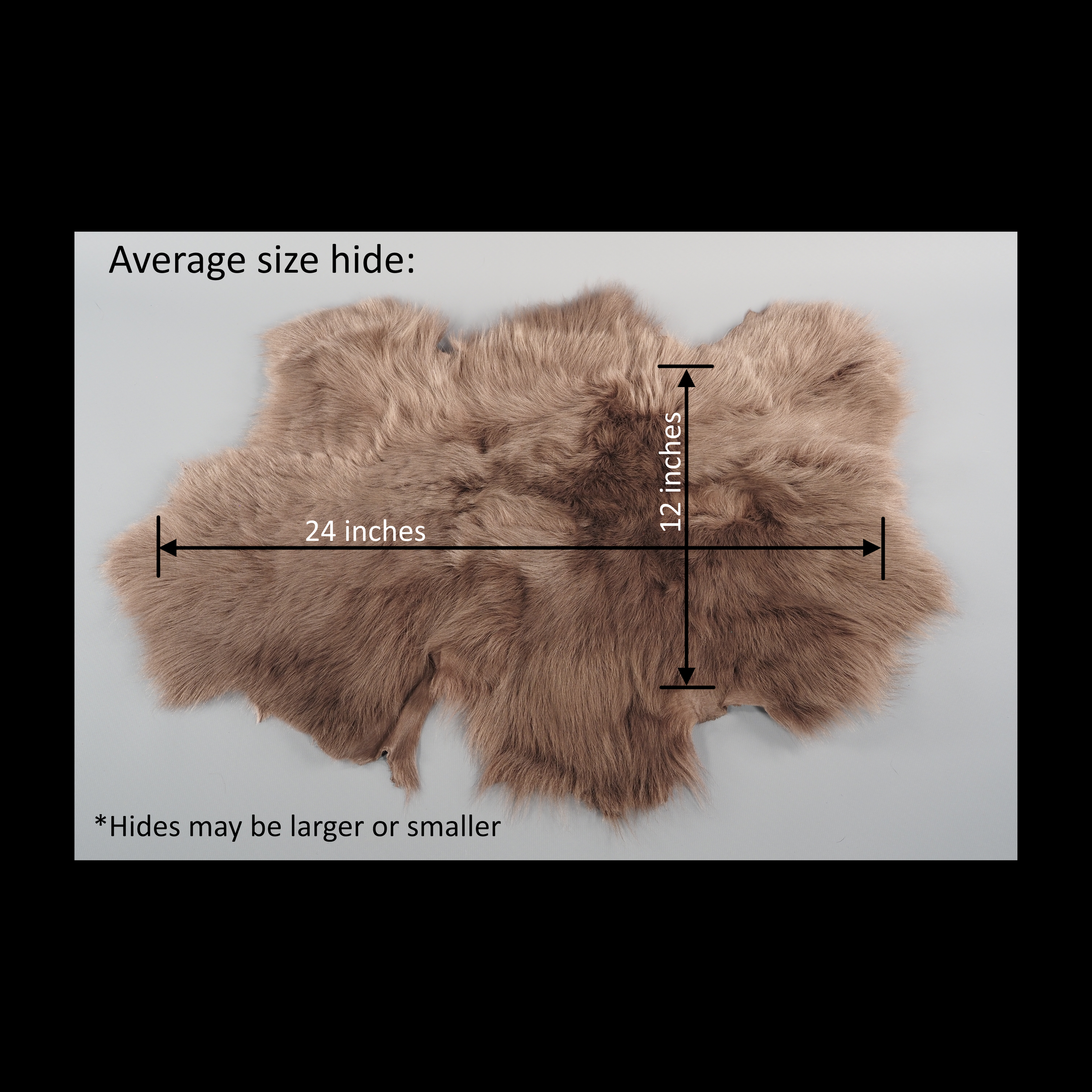 P1210159.png