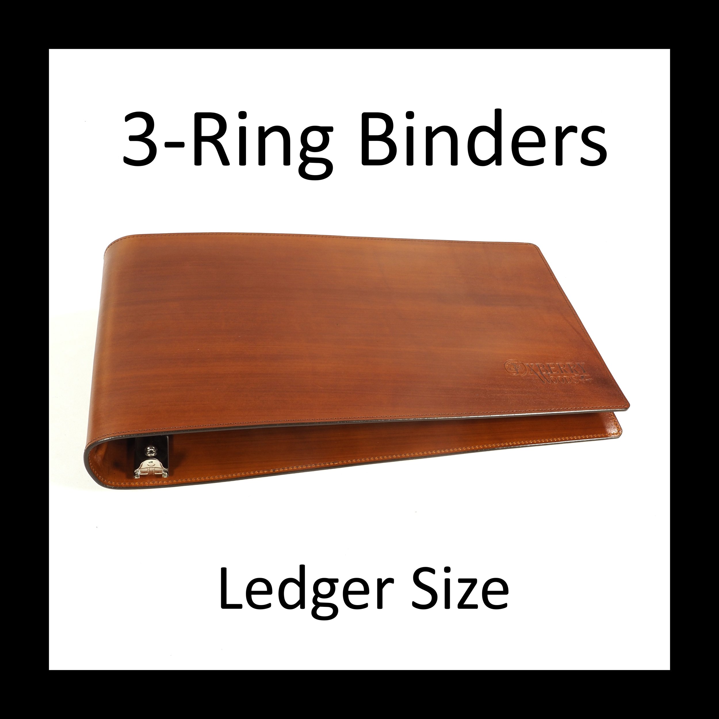 3-Ring Binder: LEDGER Size (11 x 17 inch)