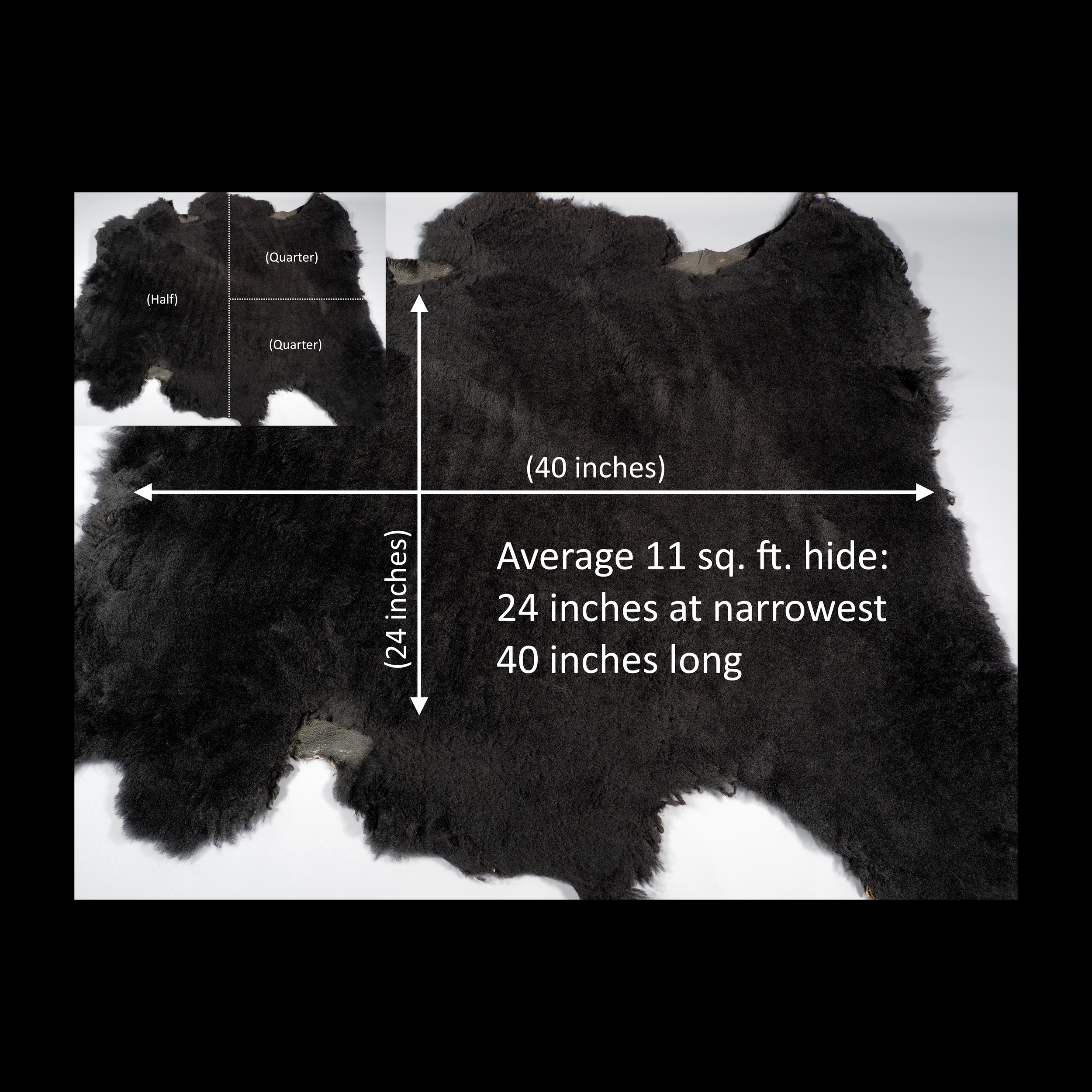 Sizing.png