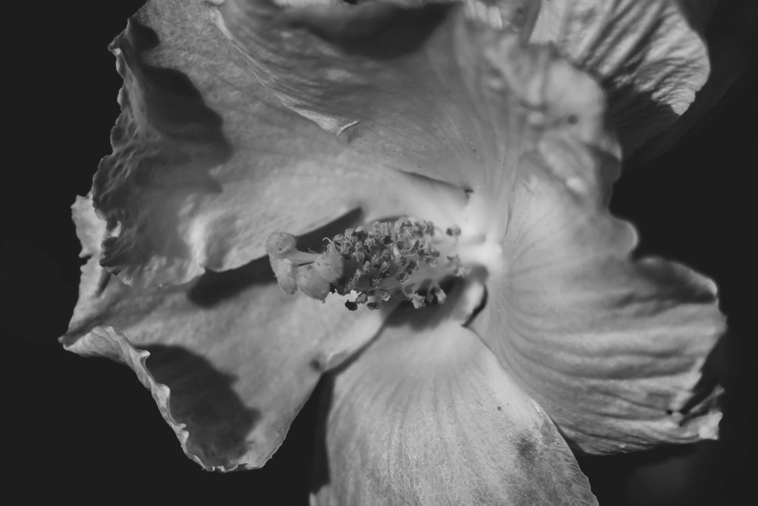 _MG_0125.jpg