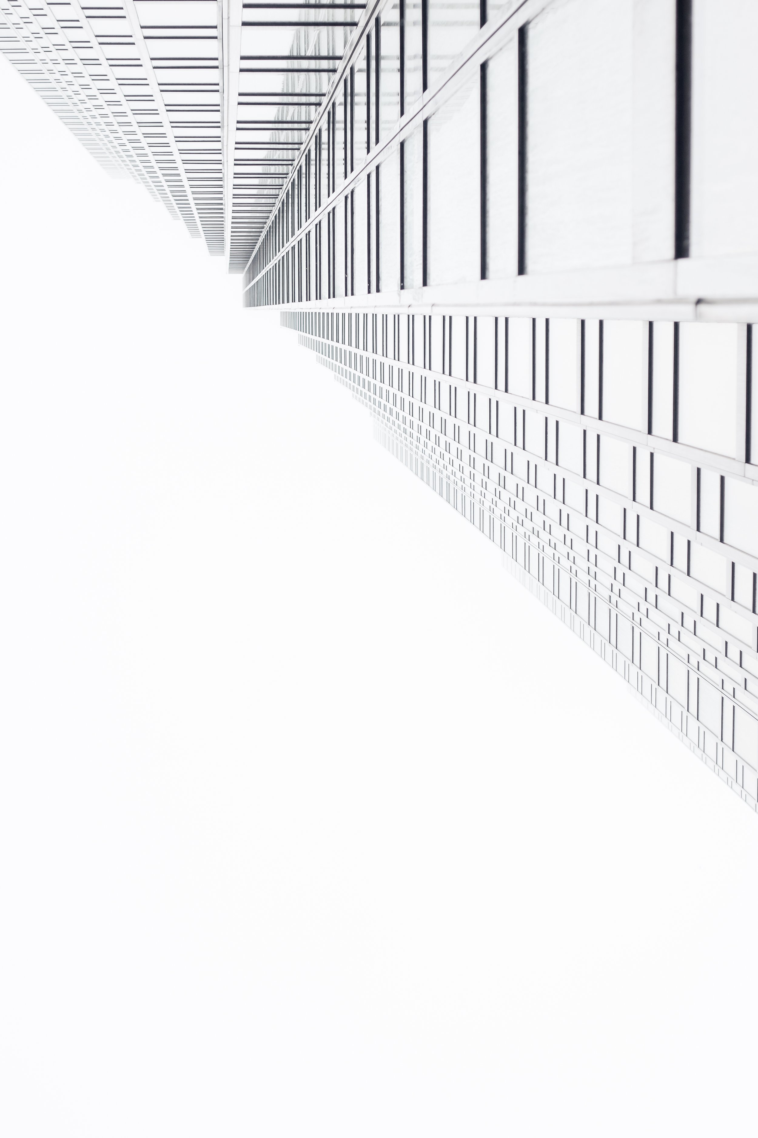 A Perspective Unseen