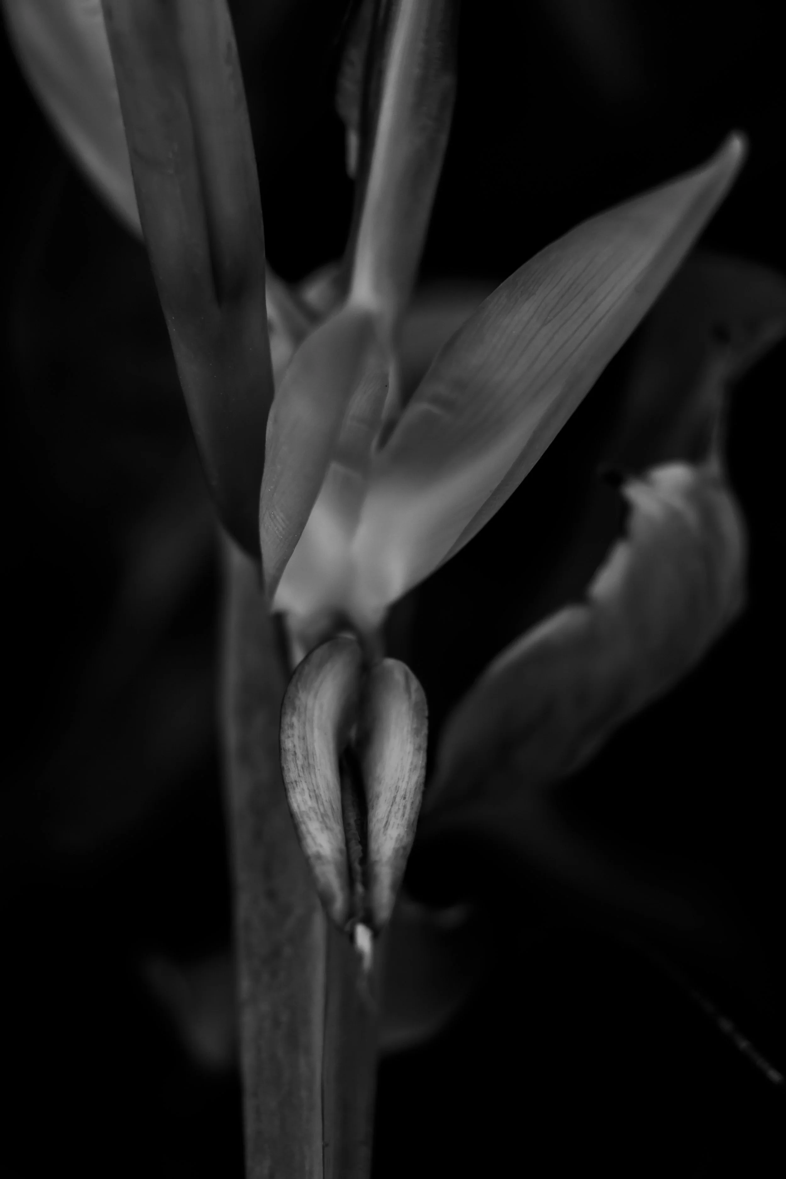 Created To Be Seen