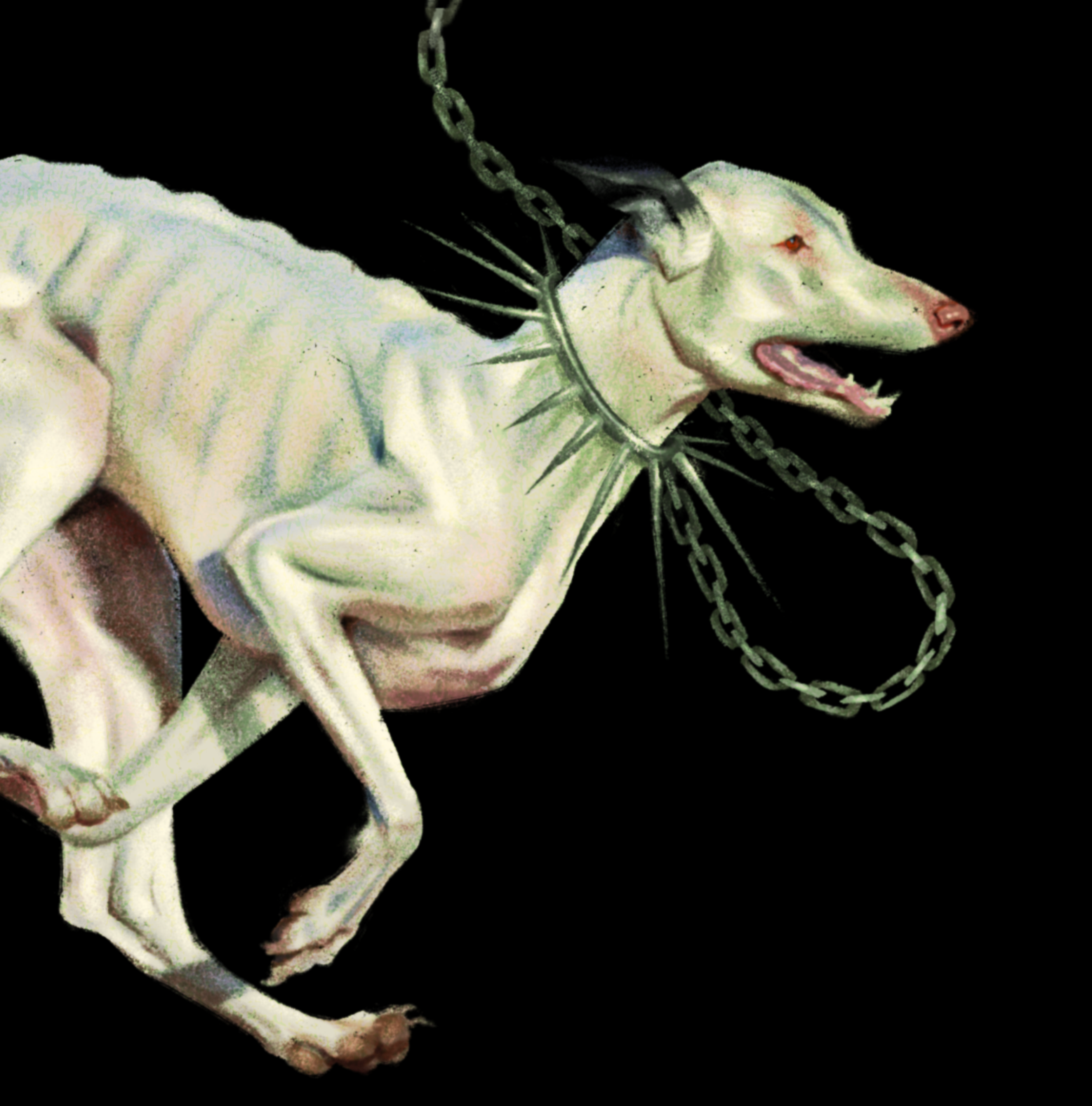 Illustration of a white dog with a spiked collar and chains around its neck, set against a black background.