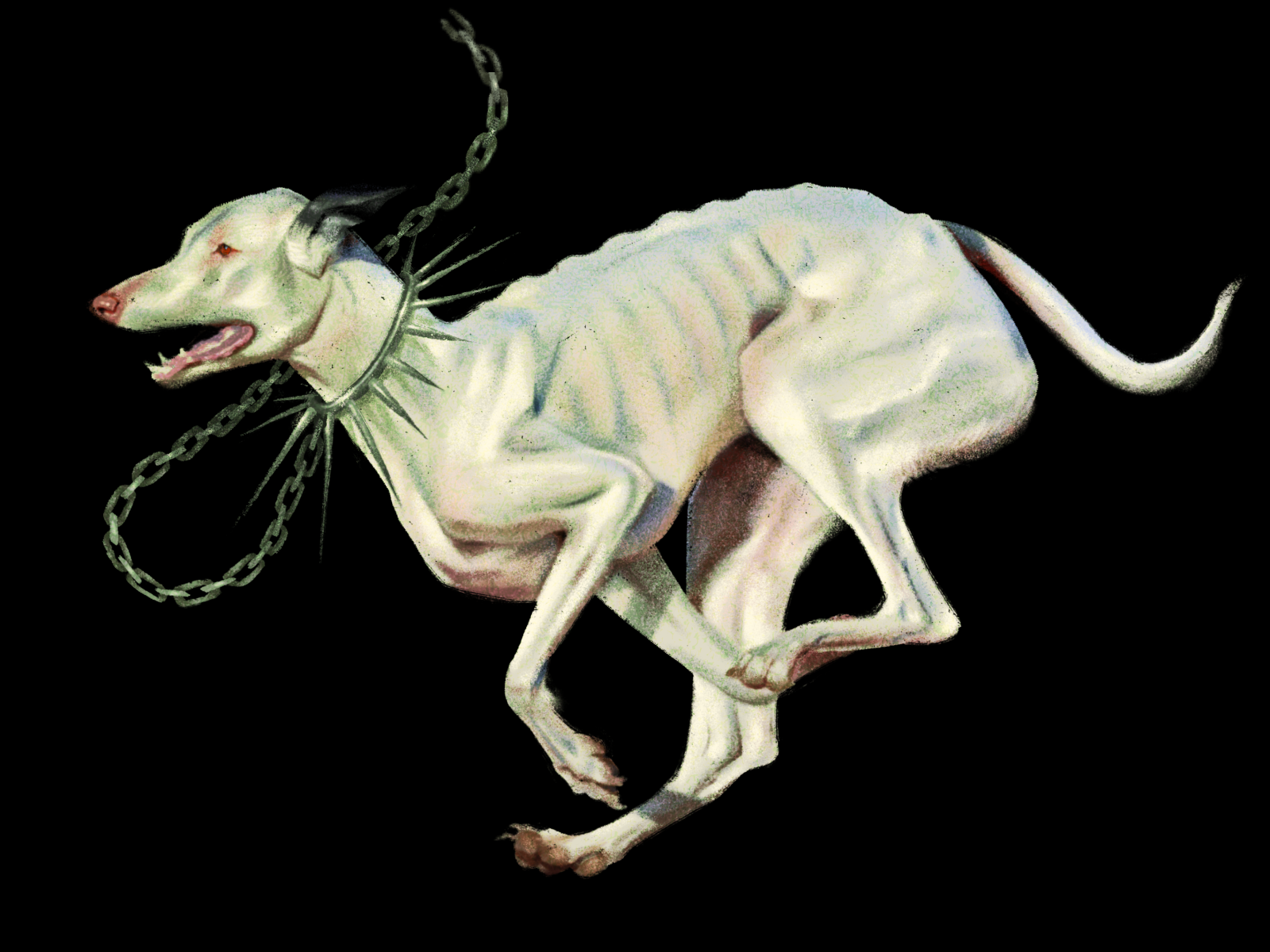 Illustration of a dog with a muscular skeleton, chained and wearing a spiked collar, set against a black background.