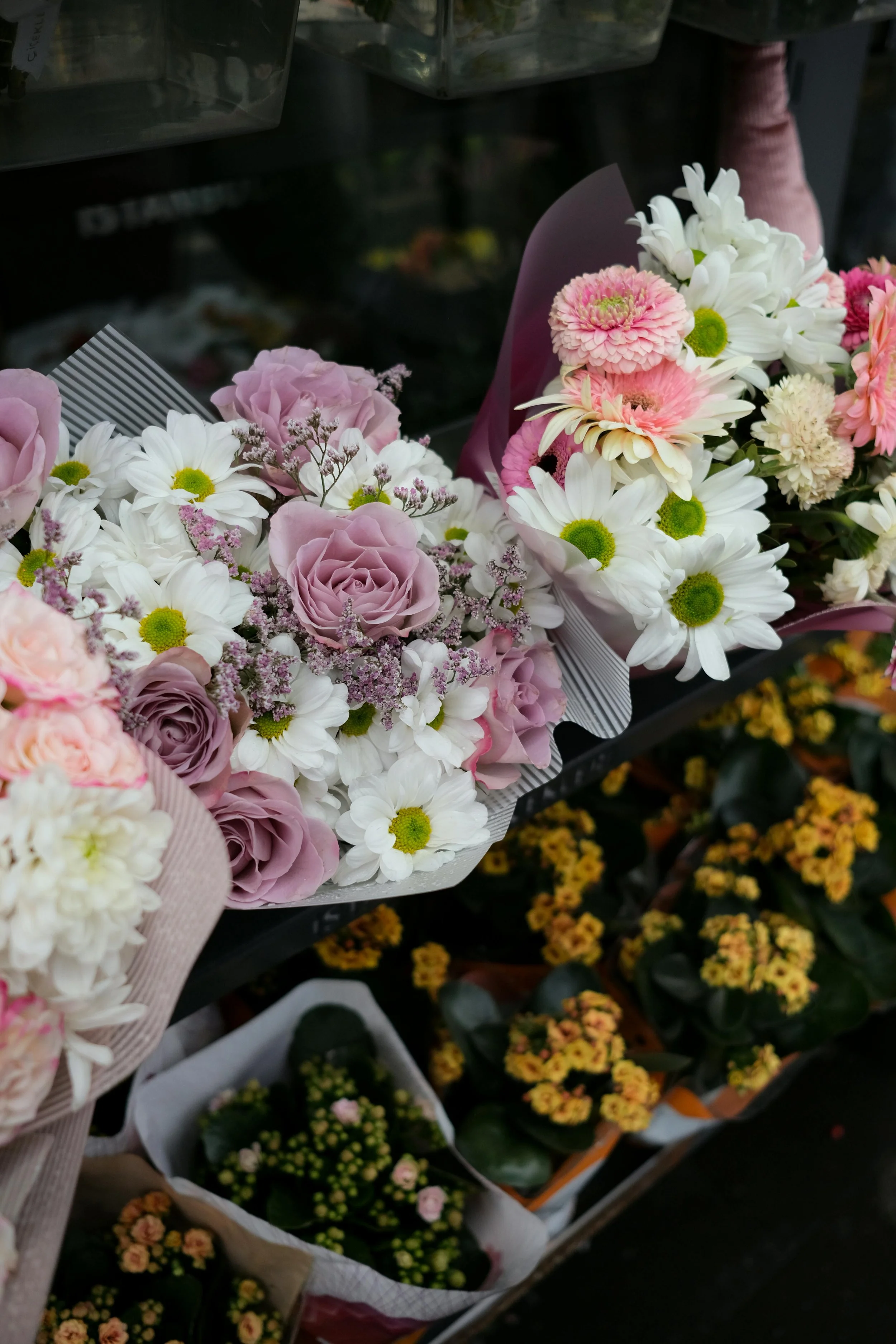 Eternal Bloom