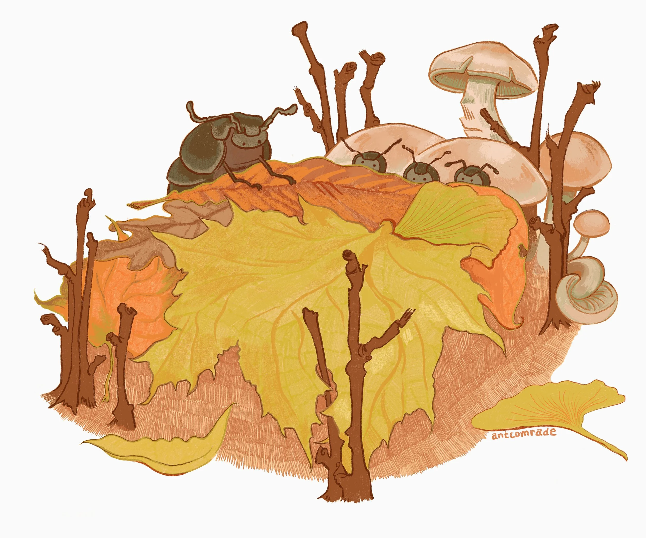 illustration of bugs in a bed by Lydia Salfrank