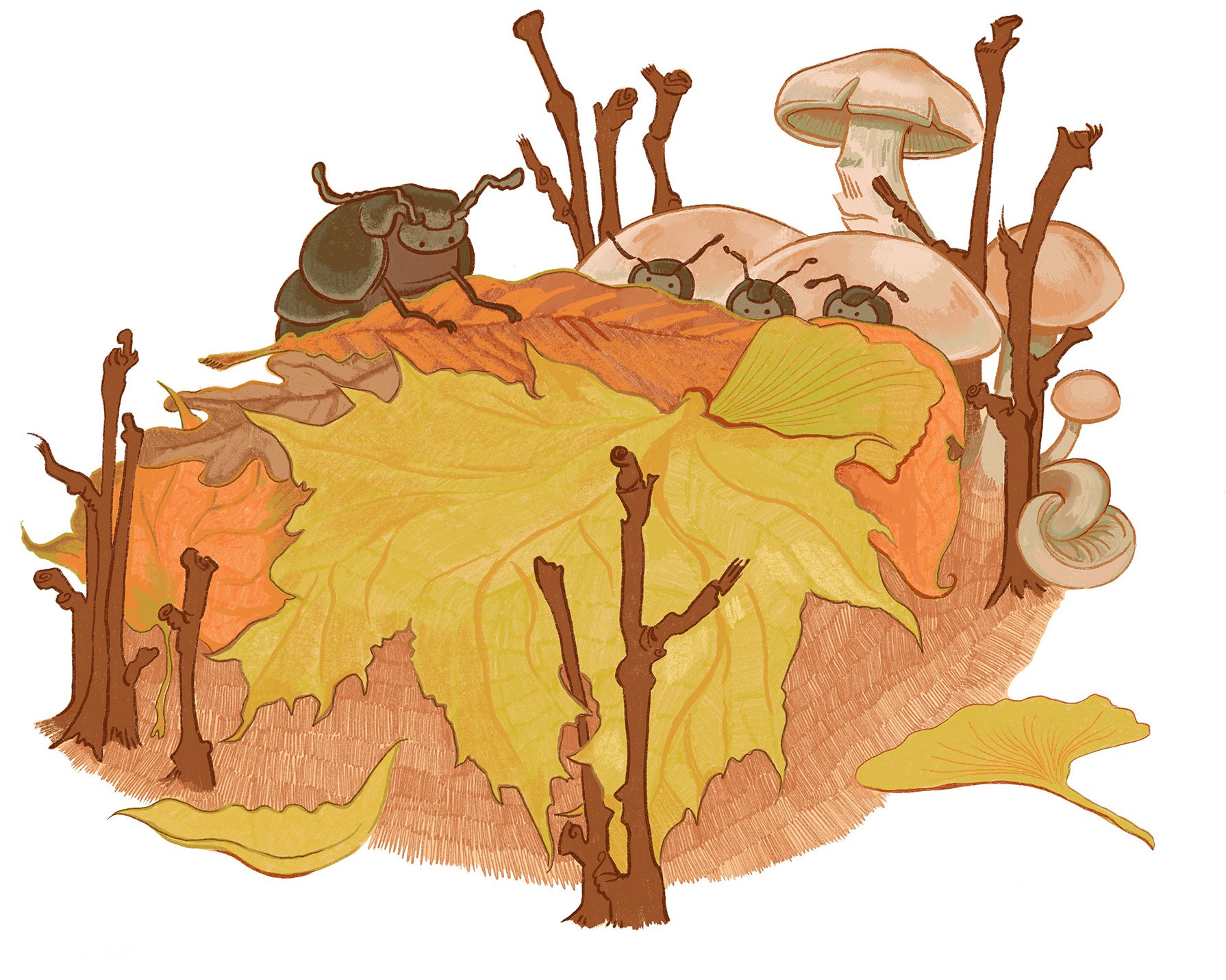 Leave the Leaves