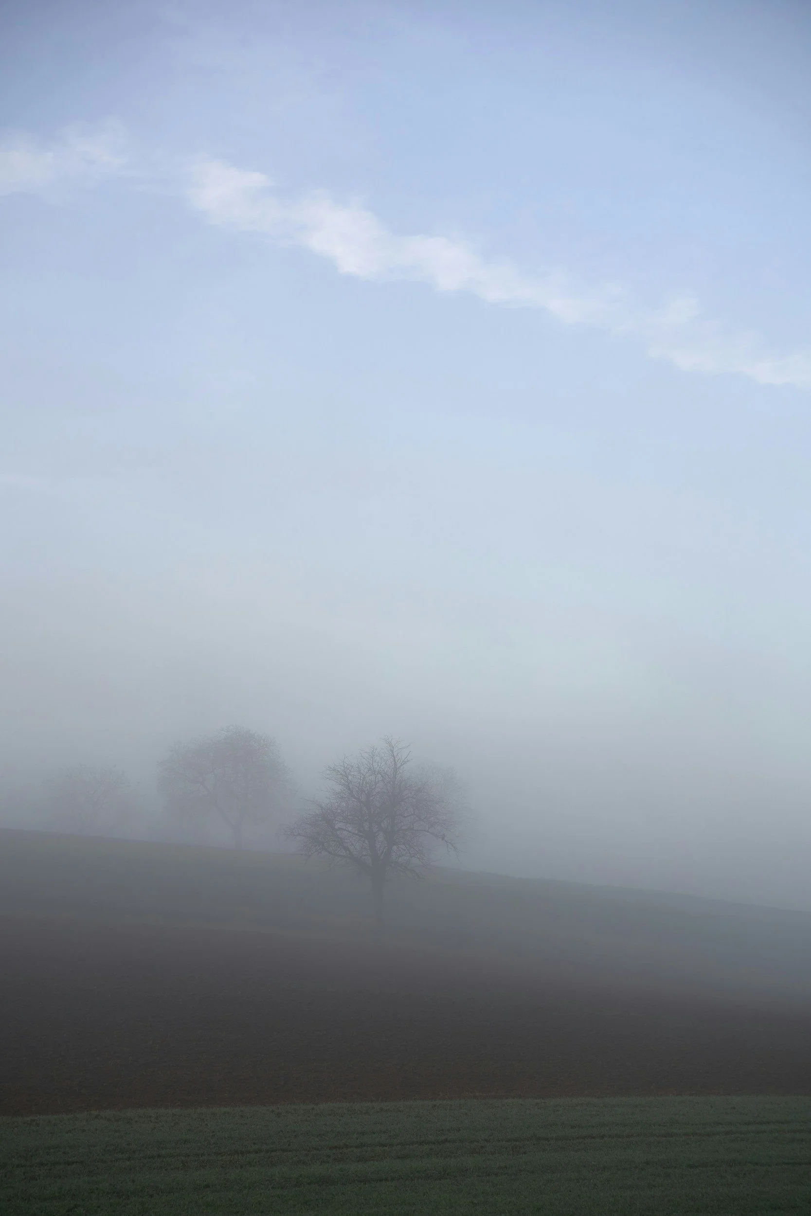 Foggy landscape with two leafless trees in the distance, partially obscured by fog, under a partly cloudy sky.