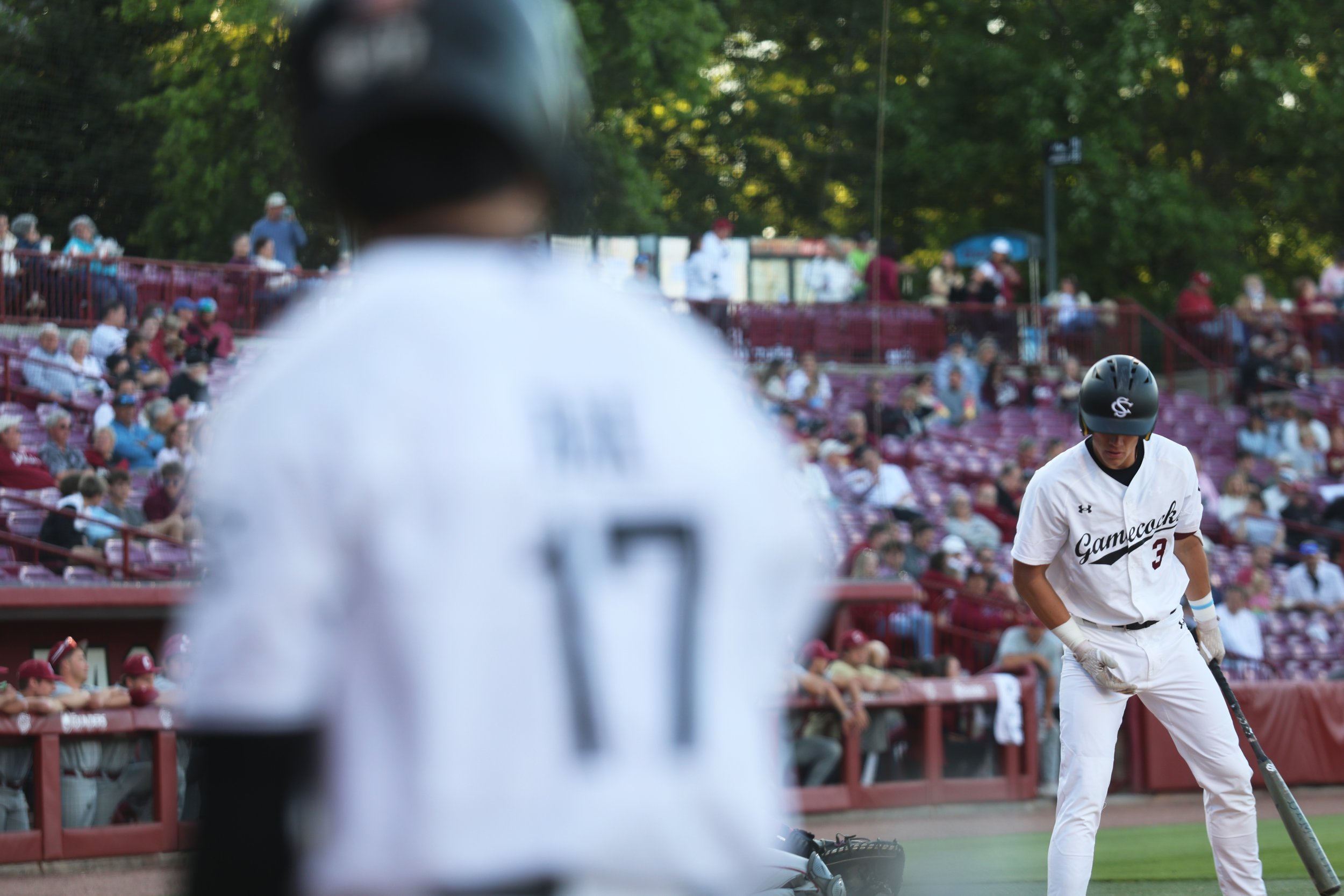 Junior infielder Patrick Evans prepares to bat against the College of Charleston while junior outfielder Tyler Bak waits in the dugout for his turn at the plate.