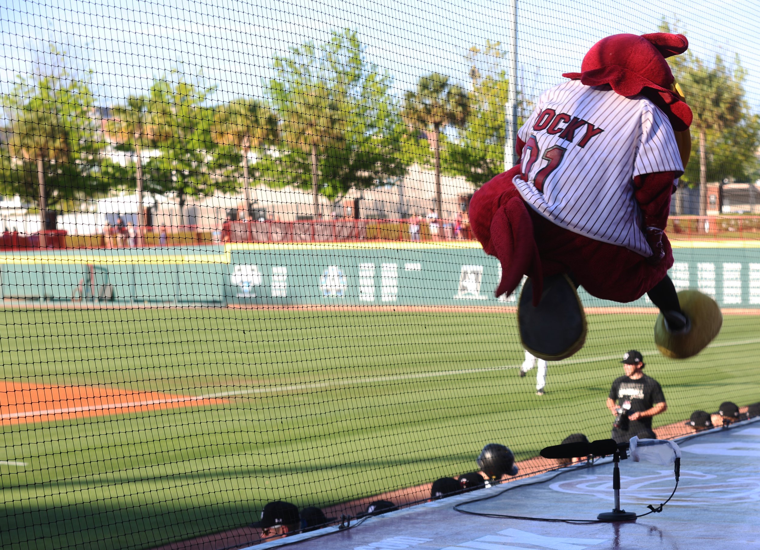 University of South Carolina mascot Cocky entertains the crowd between innings at Founders Park.