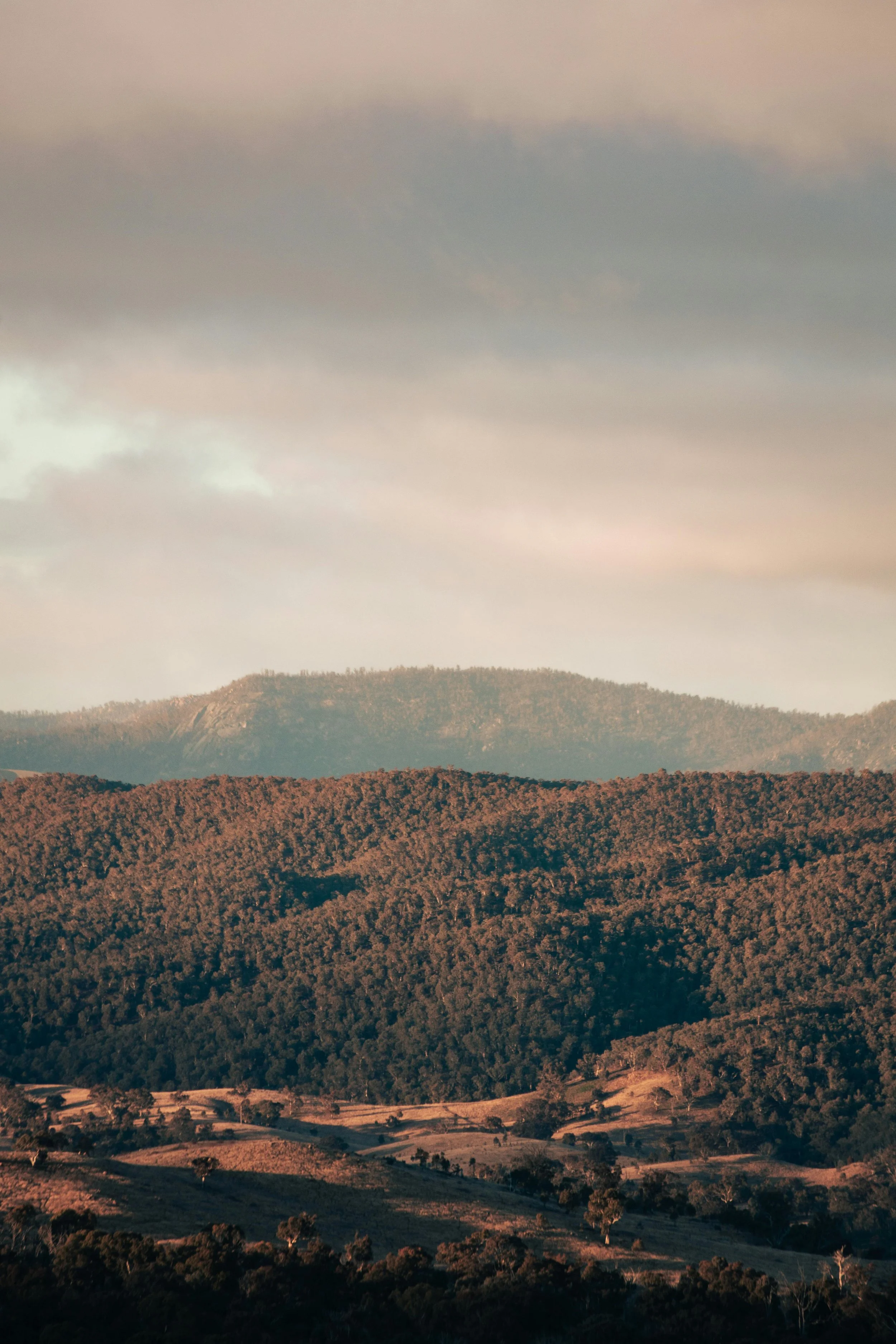 Mental health services for individuals and DVA members.