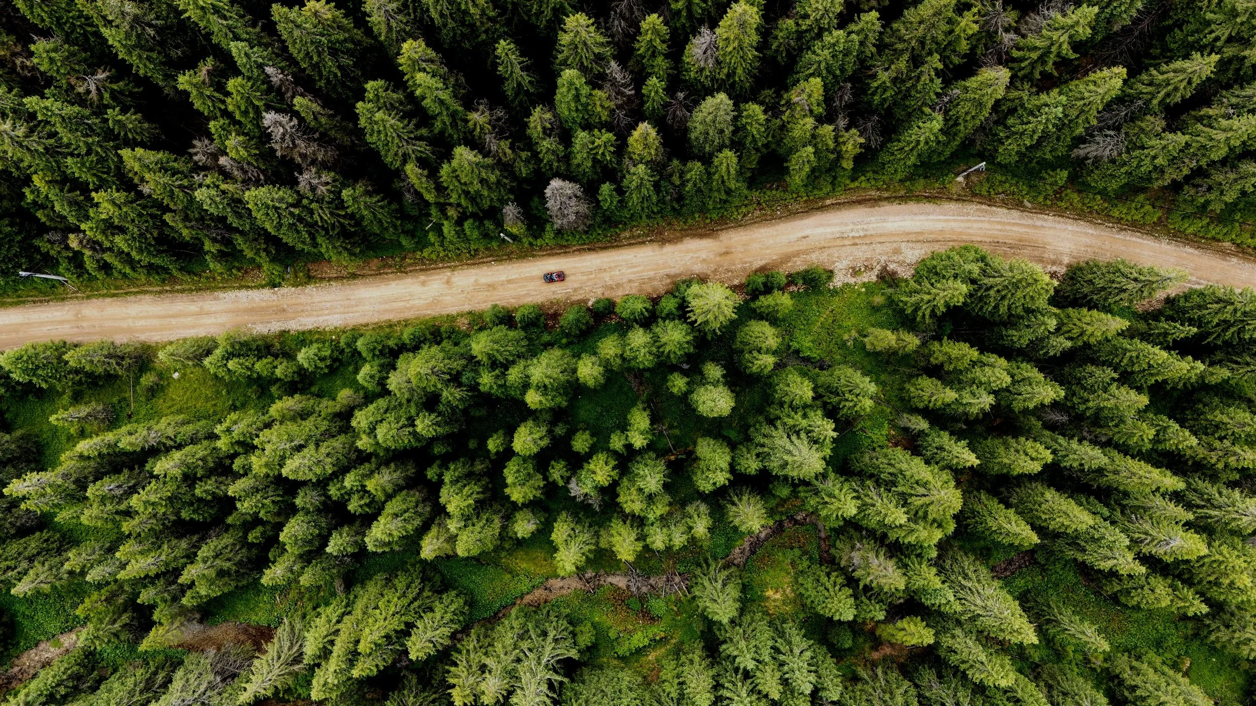 Mental health care for anxiety, depression and PTSD in Canberra.