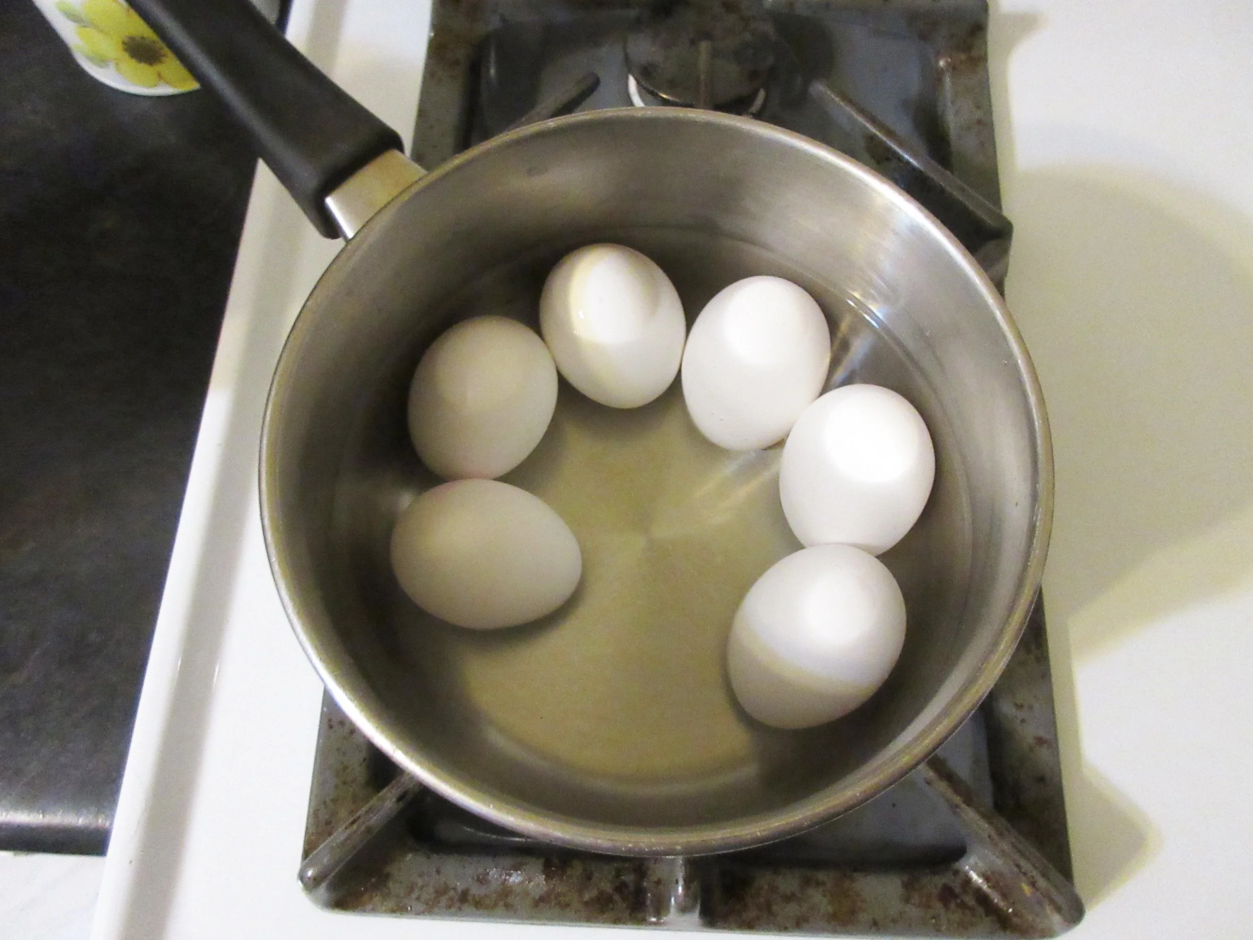 Step 1.JPG