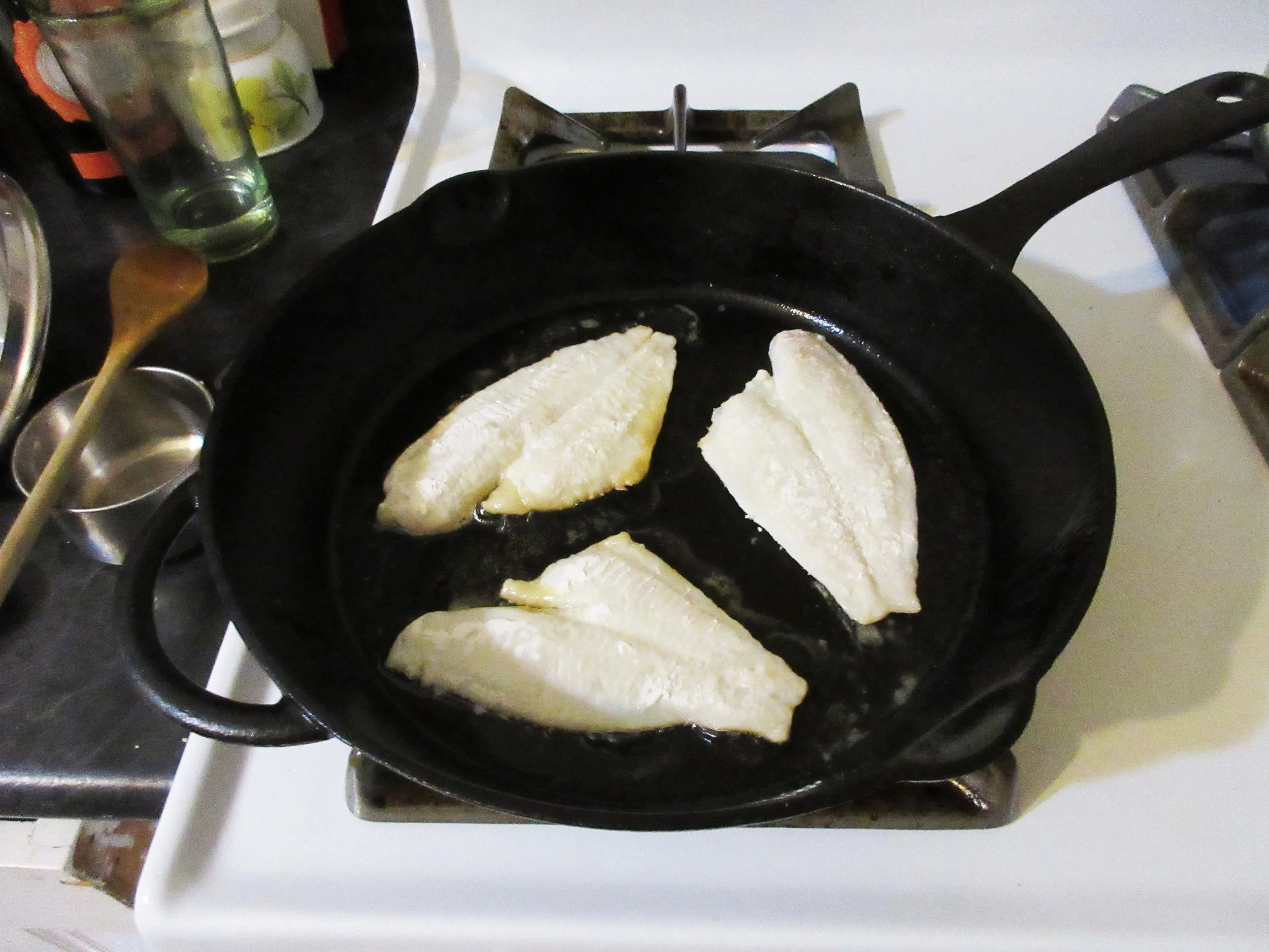 Fish 4.JPG