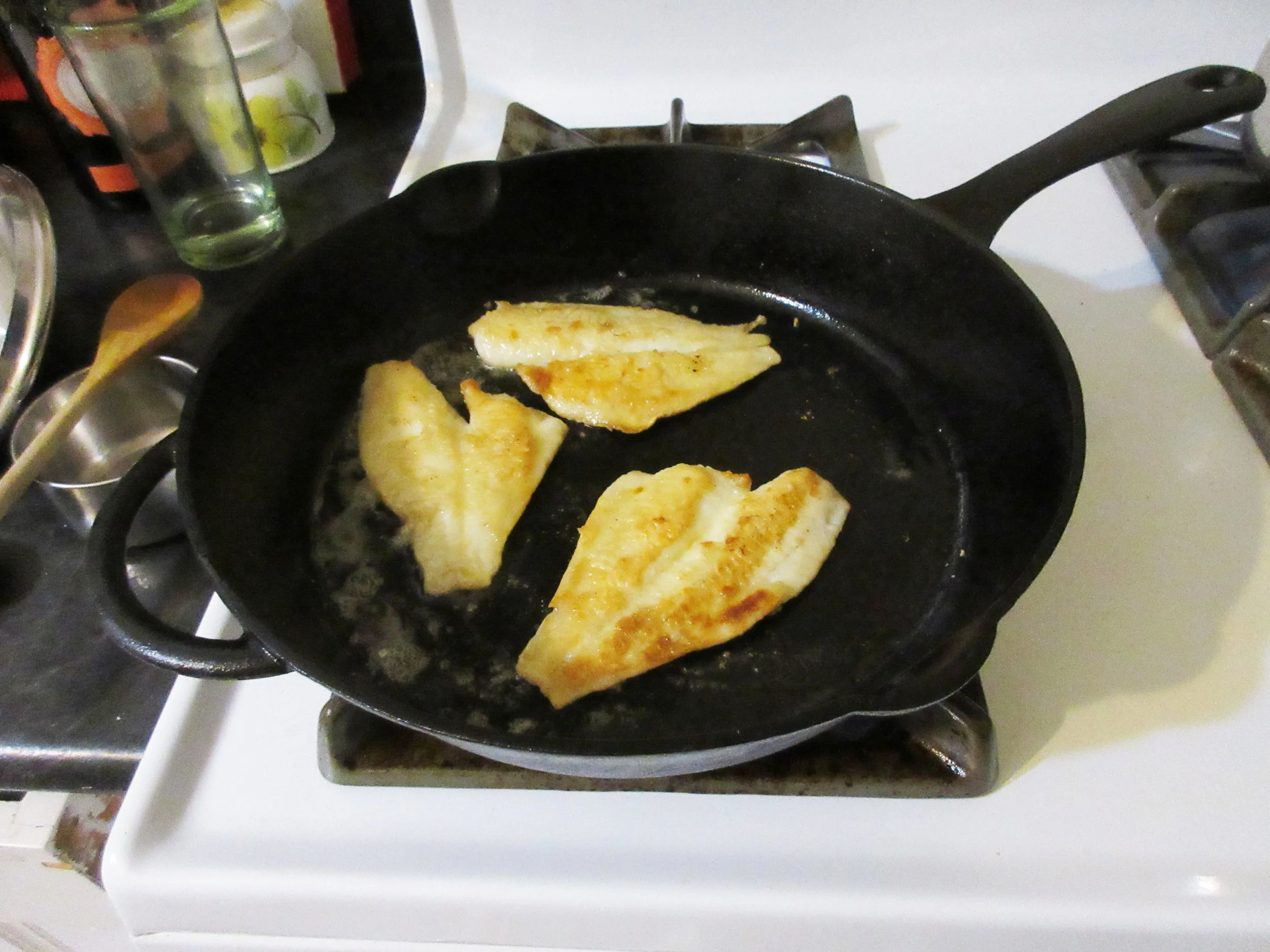Fish 5.JPG
