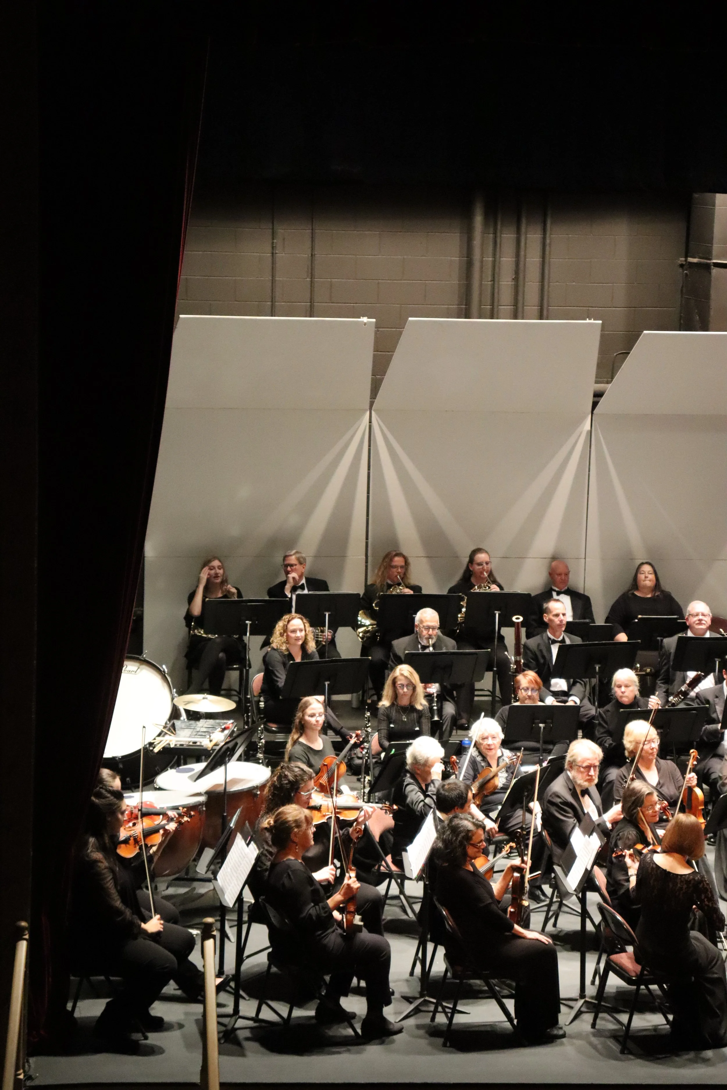 Orchestra on stage with musicians playing various instruments during a concert.