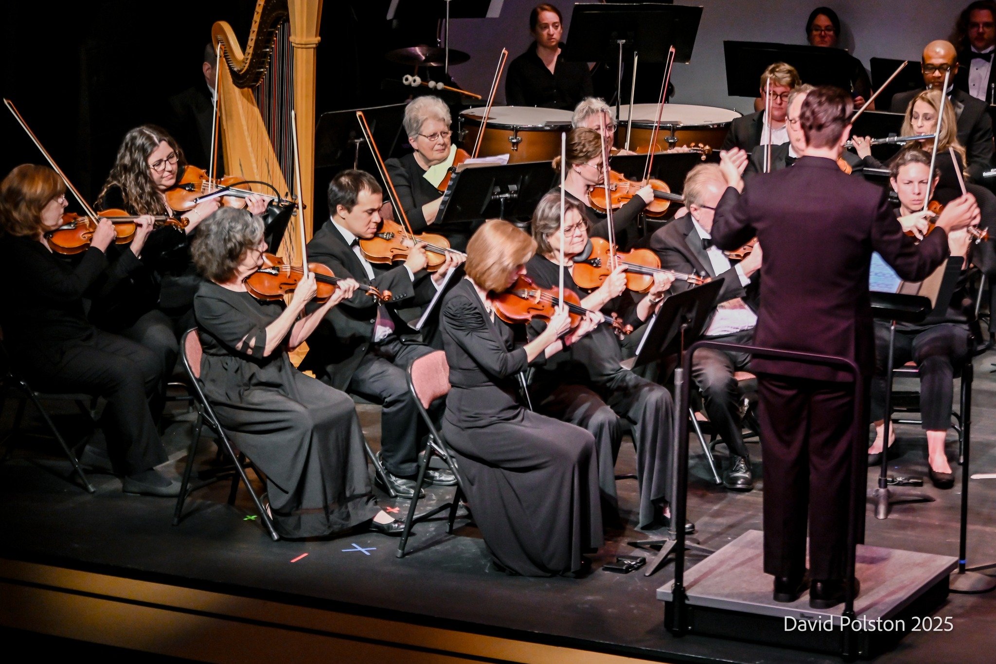 An orchestra performing on stage with musicians playing violins, a harp, and percussion instruments. A conductor is leading the group, and the musicians are focused on their sheet music.