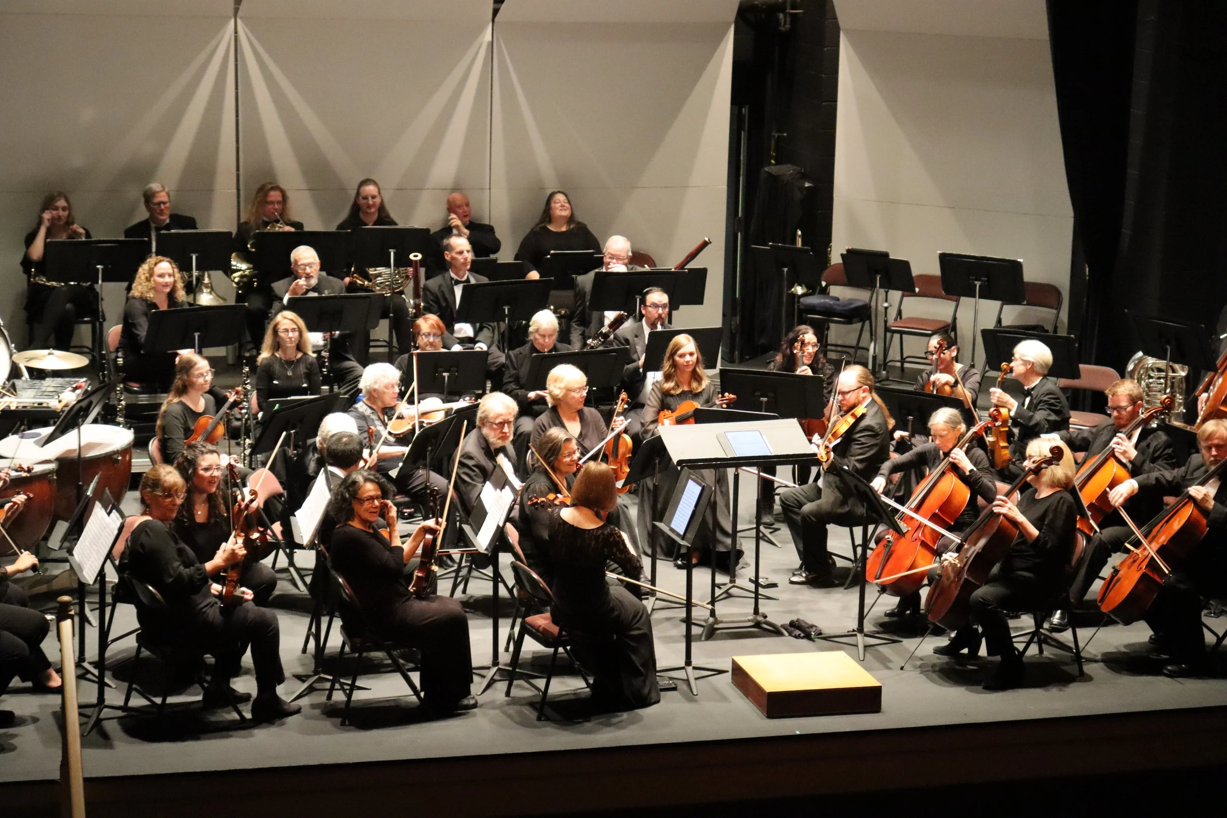Orchestra performing on stage with musicians playing various instruments, including violins, cellos, and wind instruments, in a concert hall.