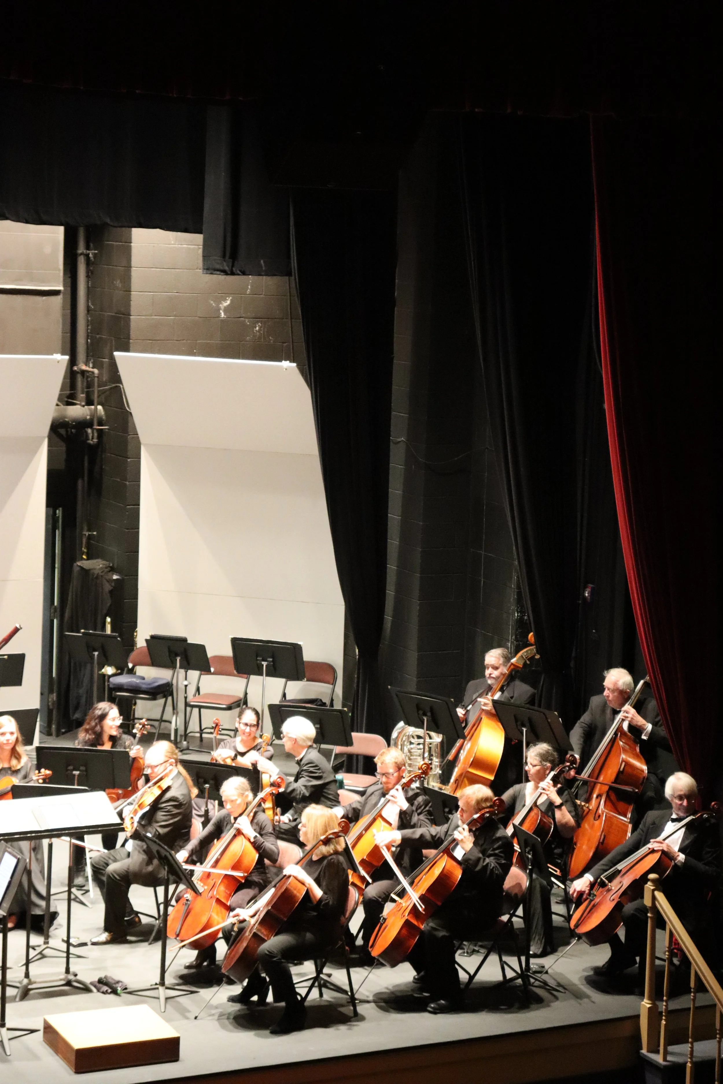 Orchestra performing on stage with musicians playing string instruments, dressed in black, with a black curtain backdrop.