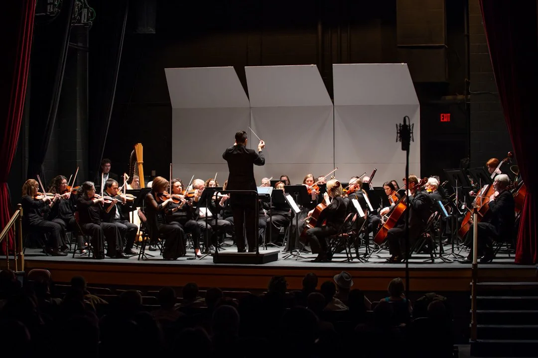 Orchestra performing on stage with conductor in front, audience watching in a concert hall.