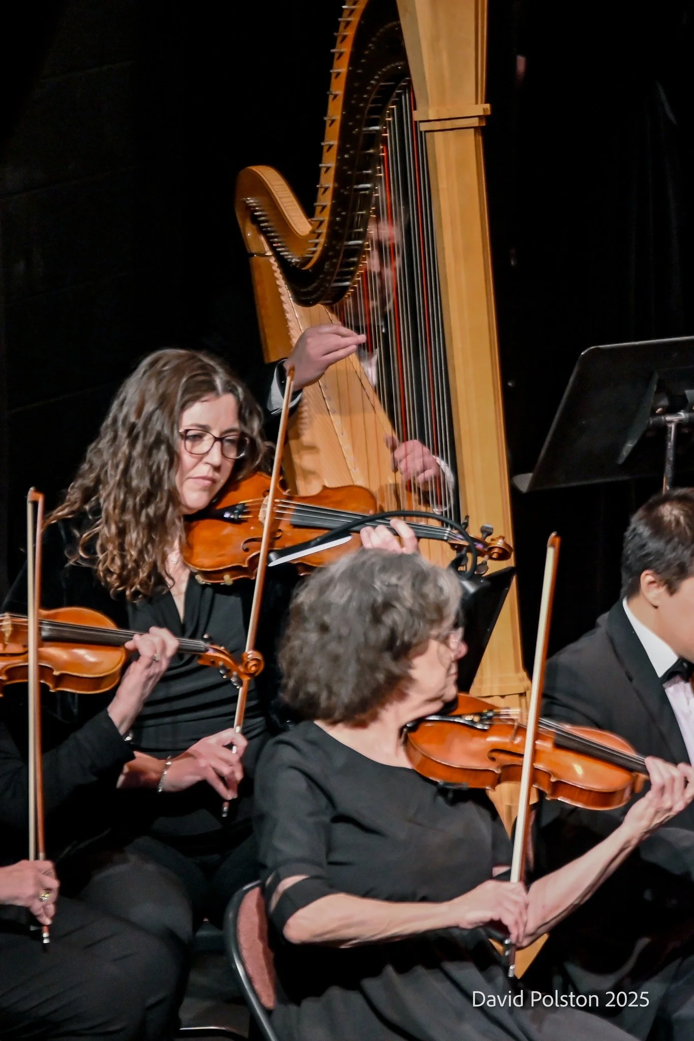 Orchestra members playing string instruments, including a woman with curly hair and glasses playing the violin, and a man in the background playing the harpsichord.
