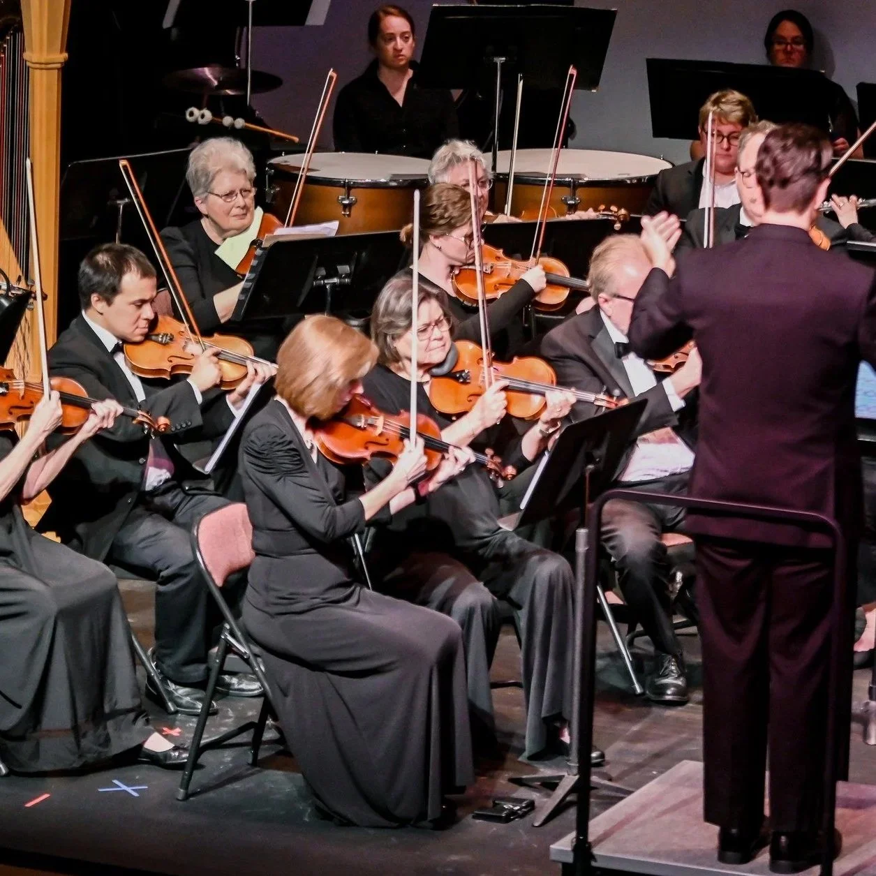Orchestra performing on stage with musicians playing violins and other string instruments, led by a conductor in a black suit.