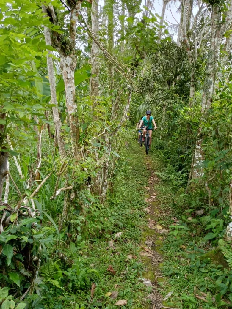 A person riding a bicycle on a narrow trail through lush green forest with dense trees and vegetation.
