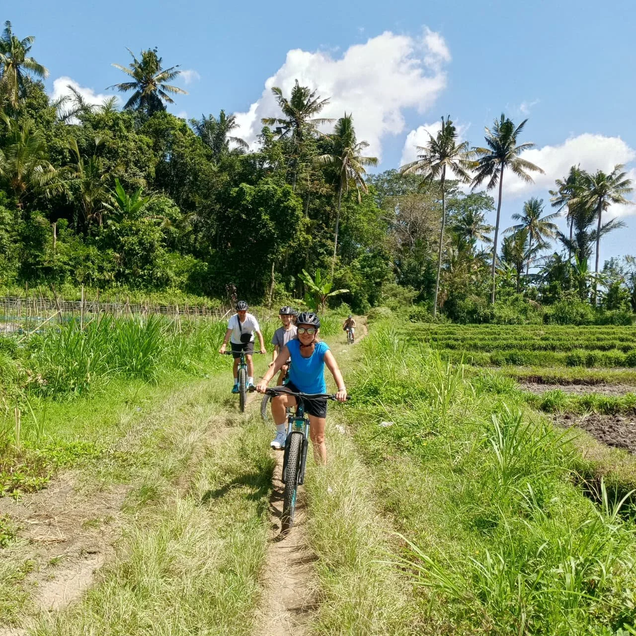Four people riding bicycles along a narrow dirt trail through lush green fields and tall palm trees on a sunny day with blue sky and white clouds.