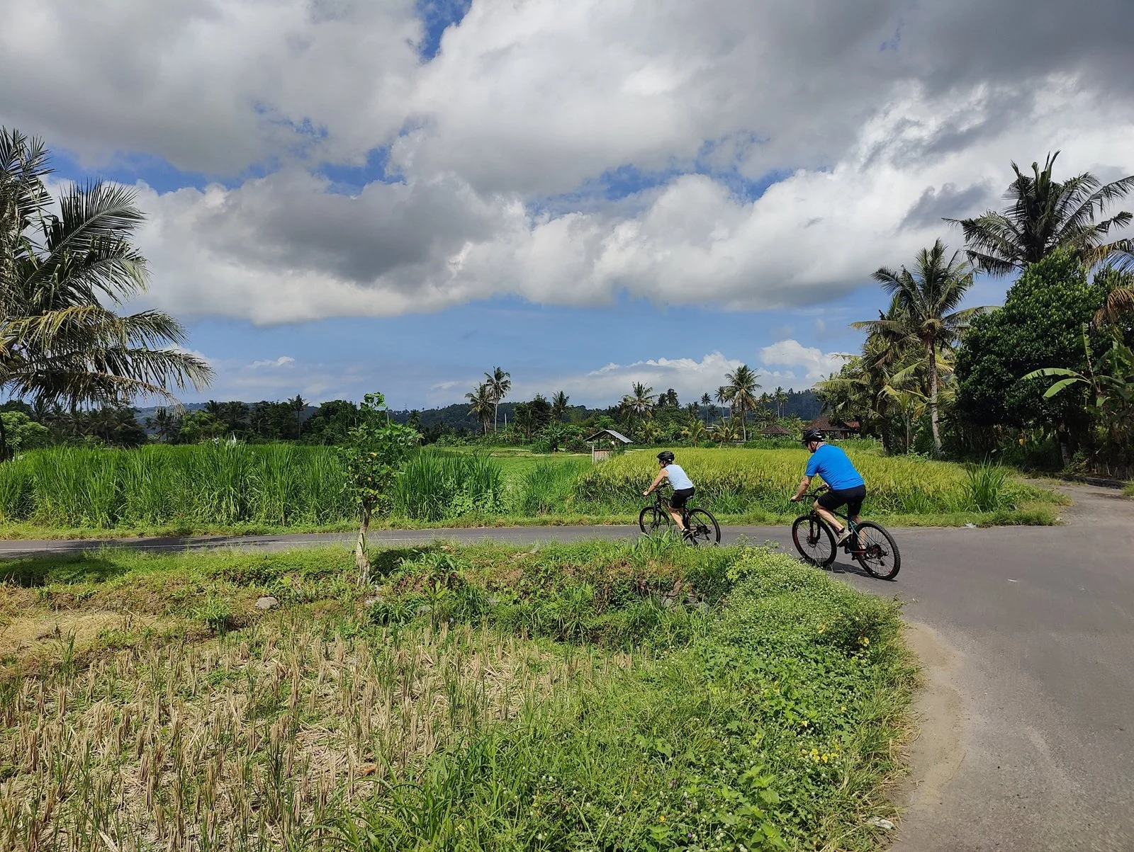 Two people riding bikes on a rural road through green fields with palm trees and a cloudy sky.