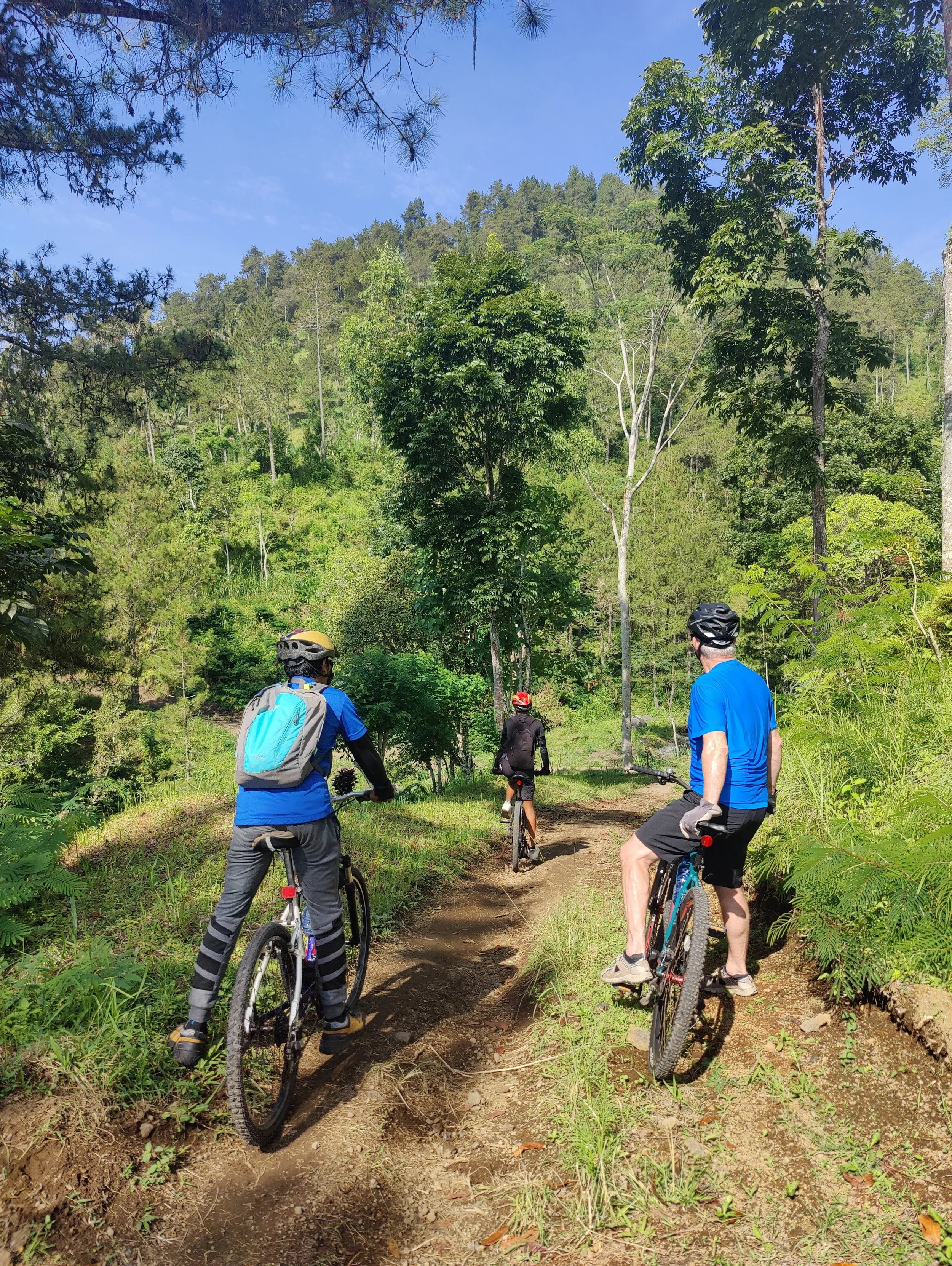 Three people riding mountain bikes on a dirt trail through a lush green forest on a sunny day.