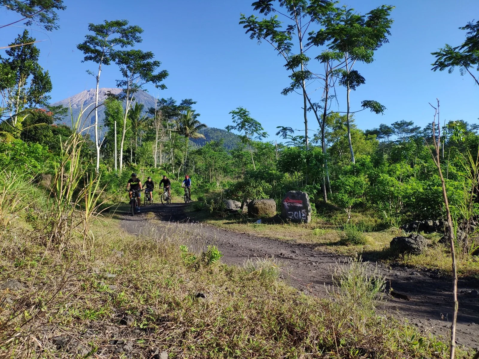 Four people riding mountain bikes on a dirt trail through lush green forest with clear blue sky and mountain in the background.