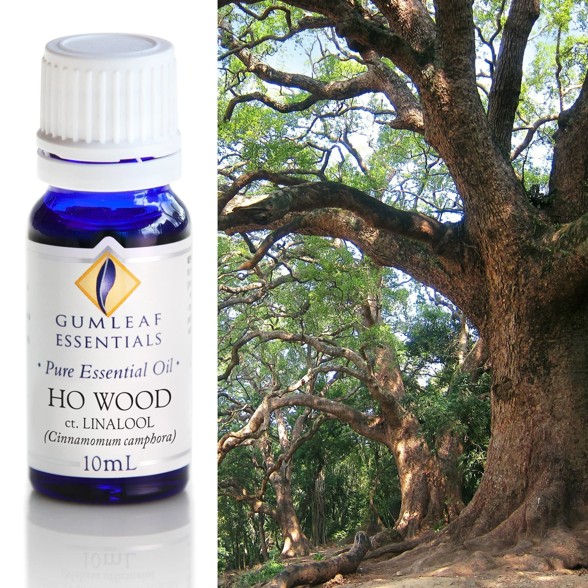 Ho Wood Pure Essential Oil