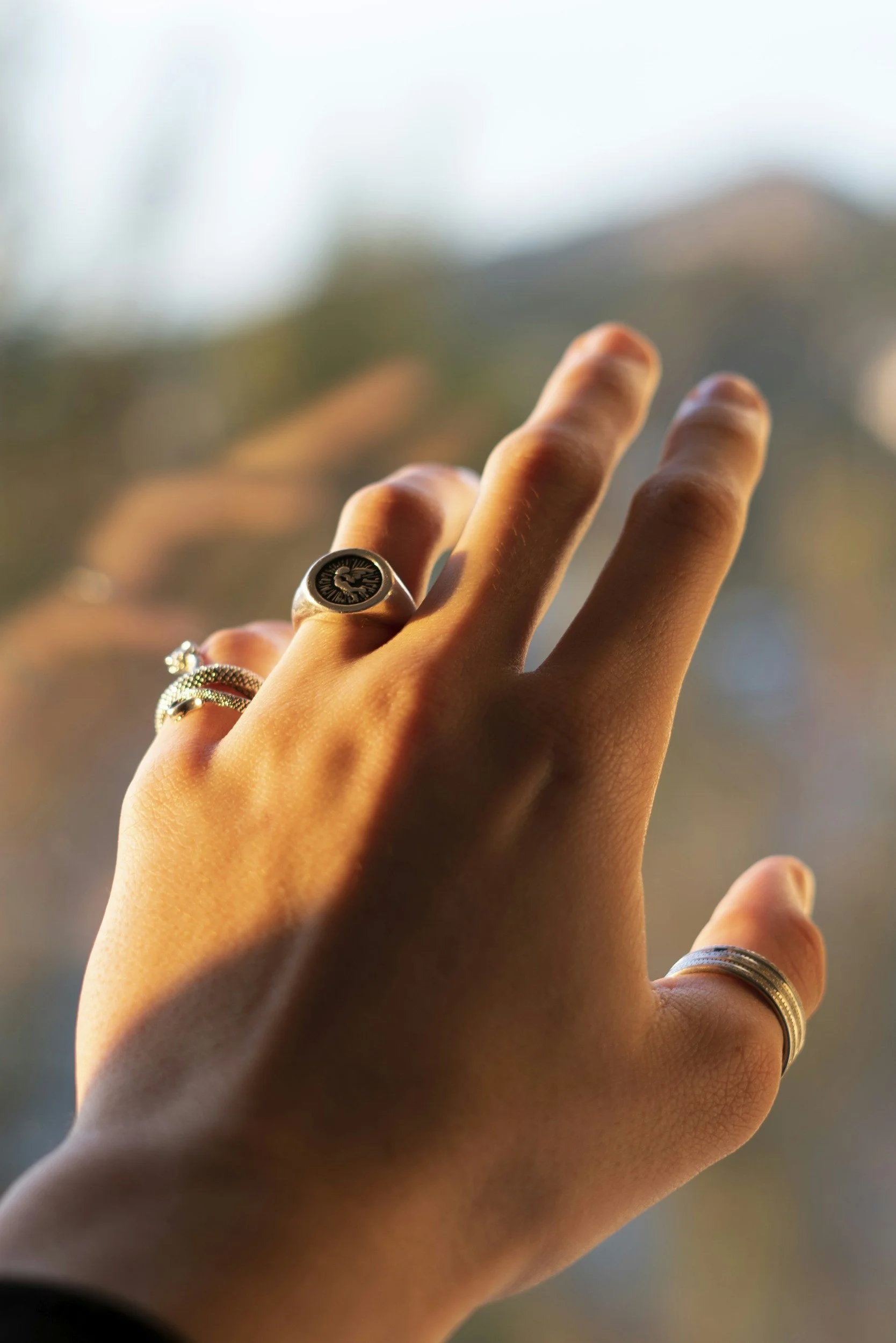 Close-up of a person's hand with multiple rings, reaching out towards a blurred background.