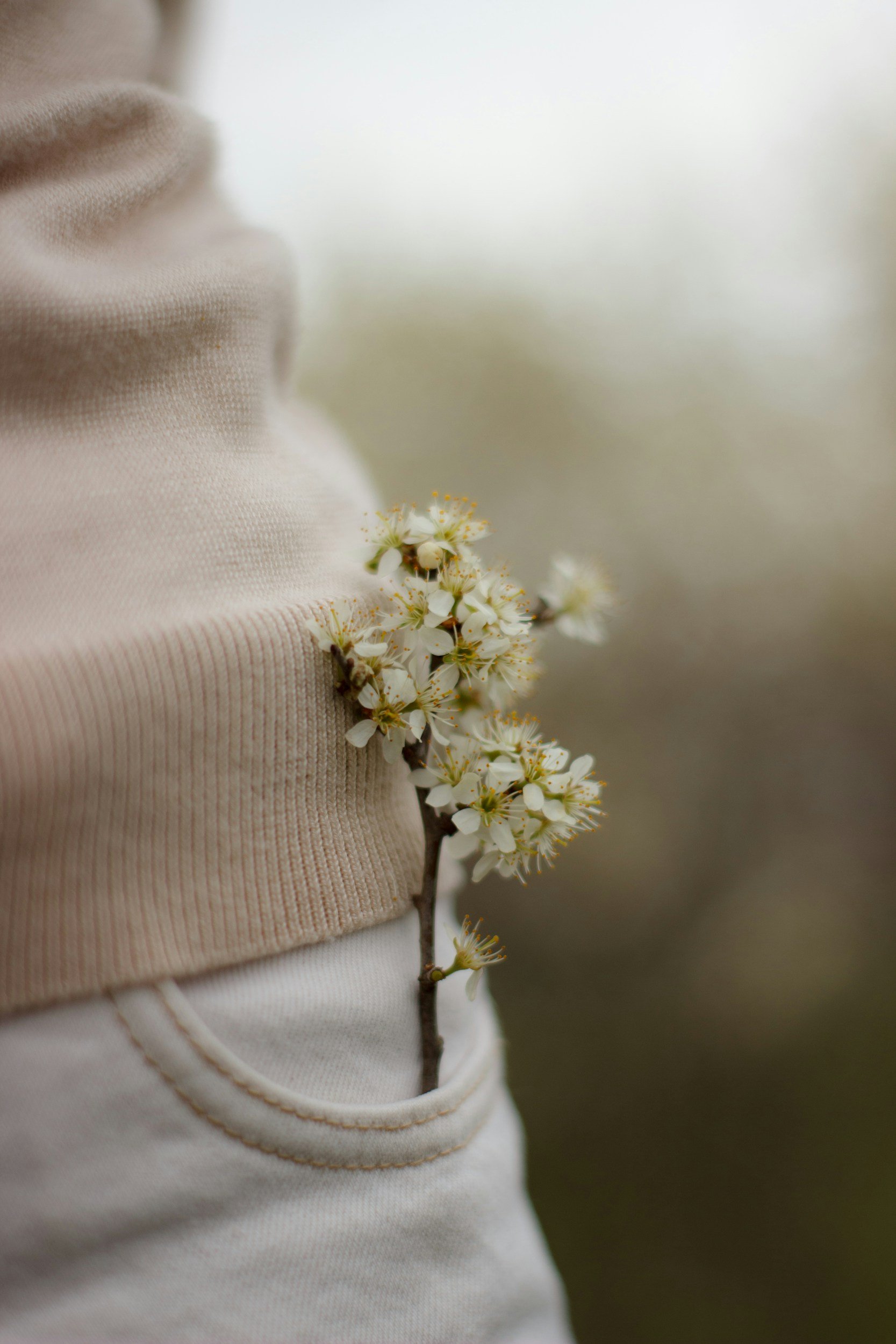 Close-up of a person's arm wearing a beige hoodie with a branch of white cherry blossoms resting against it.