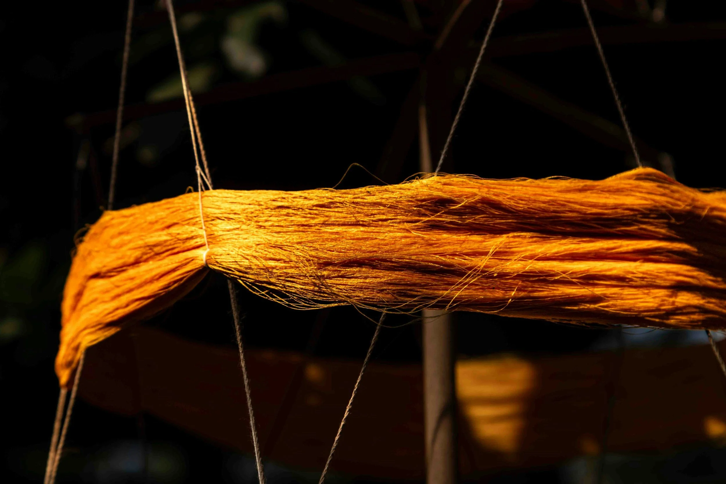 Close-up of a bundle of orange threads hanging with black background, held by thin strings.