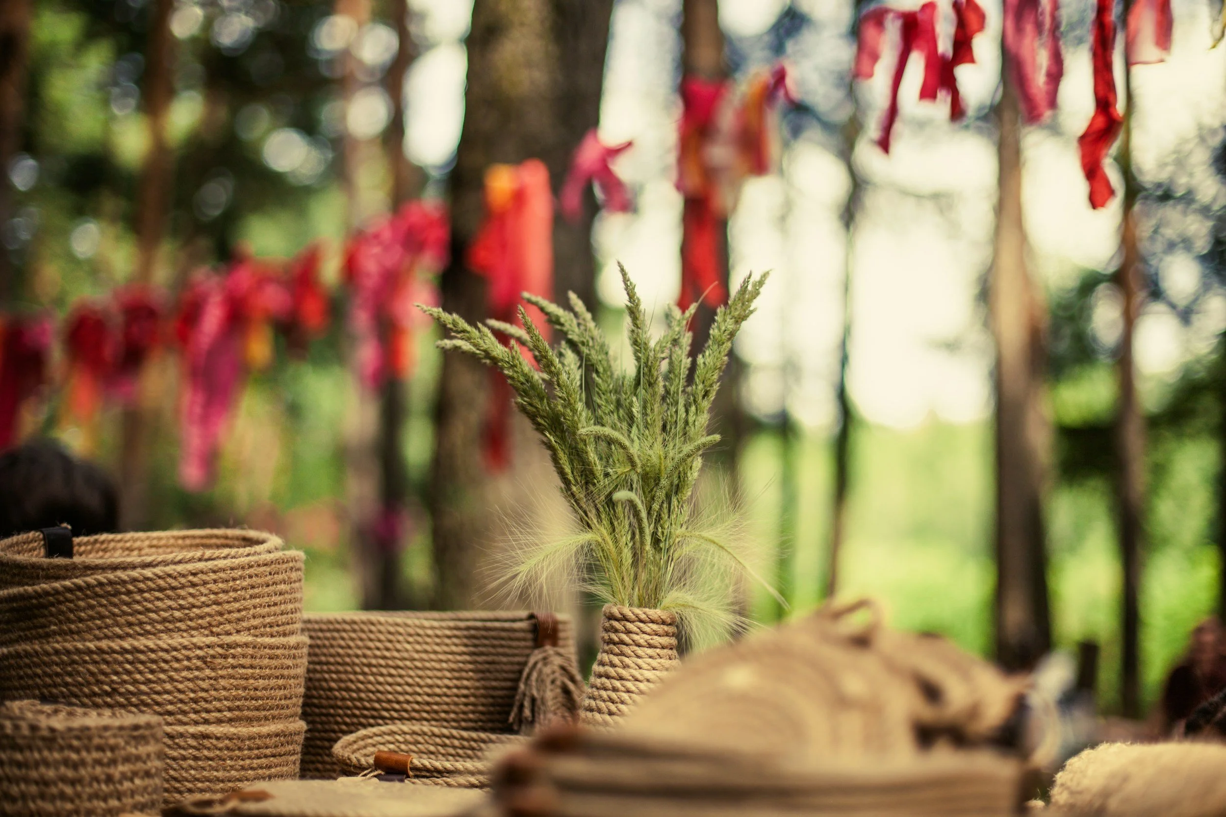 Small potted evergreen tree in front of handmade braided baskets and ropes, outdoors in a lush forest setting.