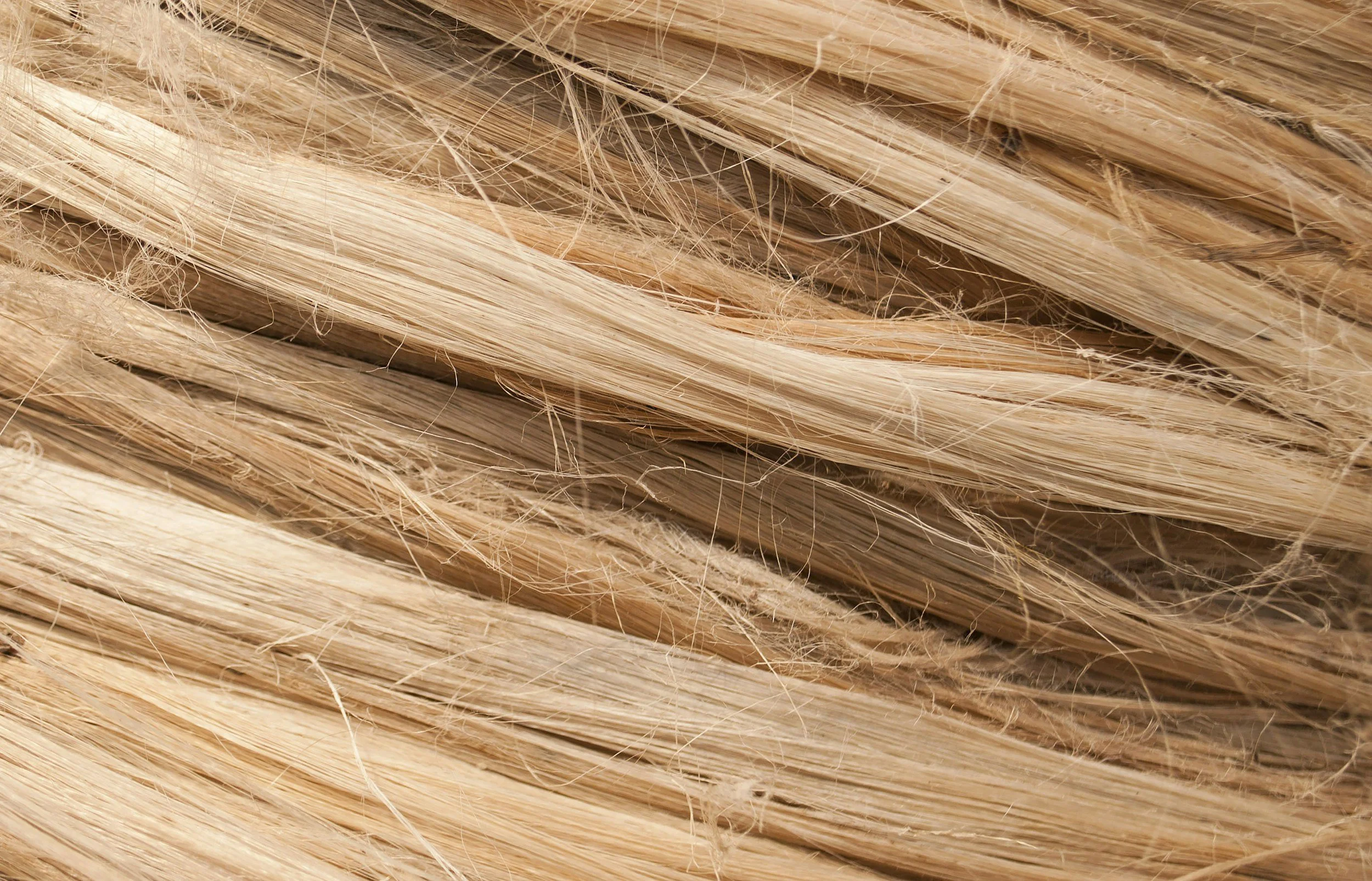 Close-up of light blonde hair strands.