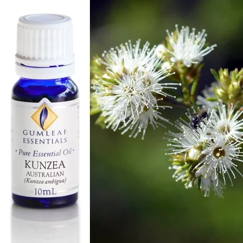 Kunzea Pure Essential Oil