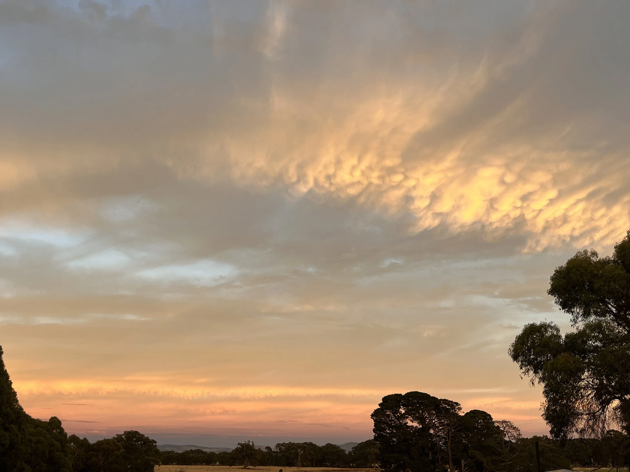 A sunset or sunrise sky with clouds illuminated in warm hues above a landscape of trees and a river or lake in the distance.