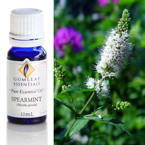 Spearmint Pure Essential Oil