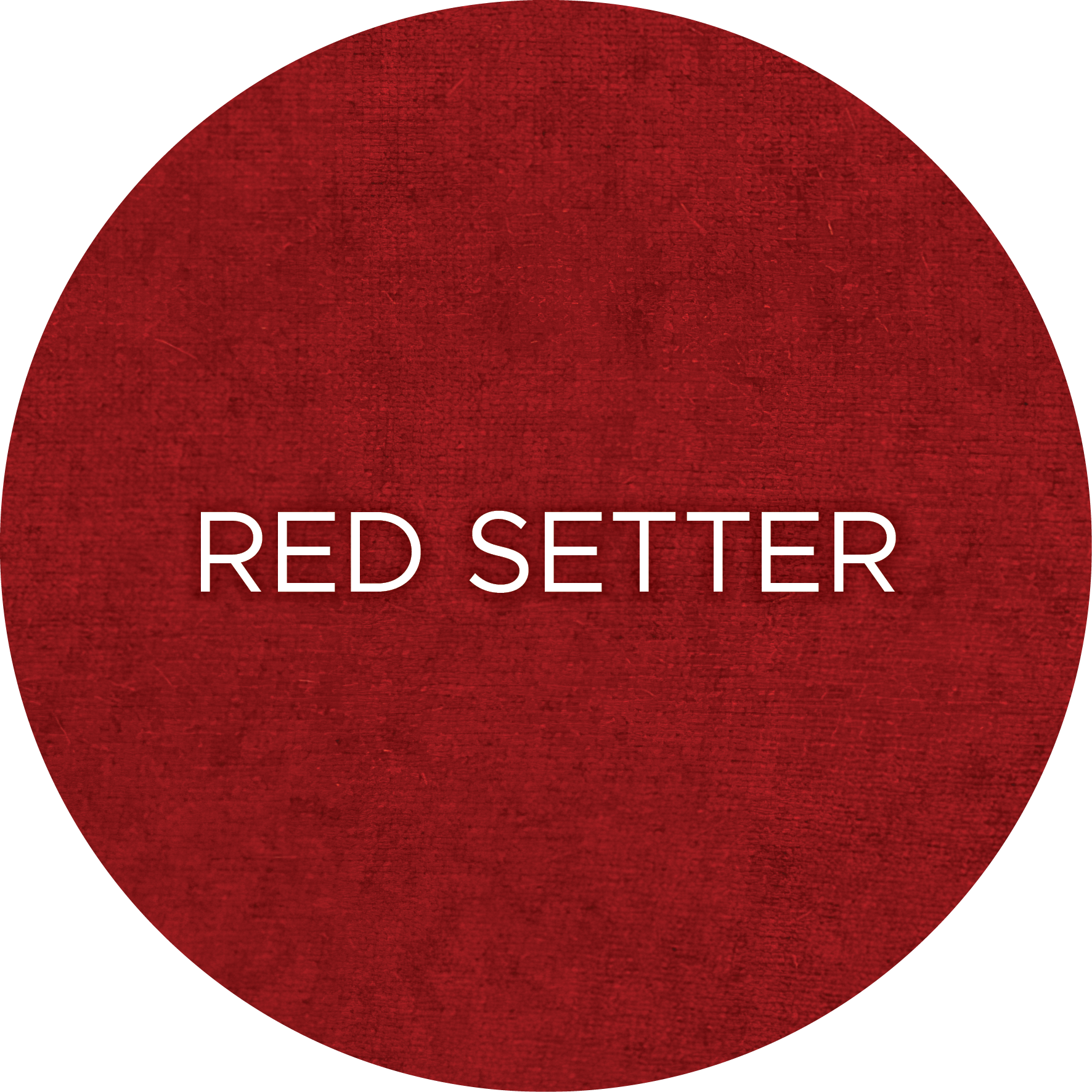 1337-Red-Setter.png