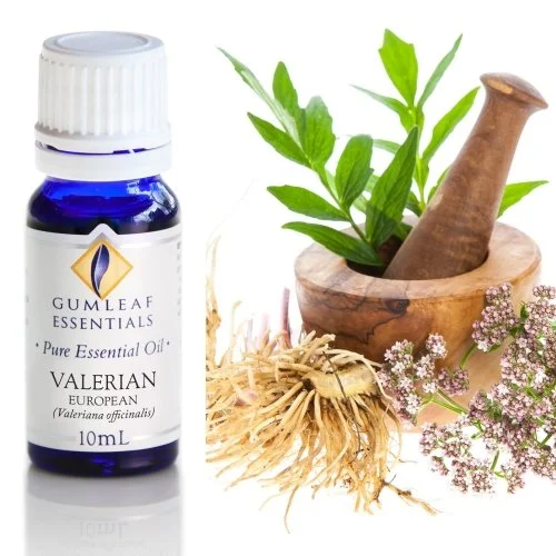 Valerian Pure Essential Oil
