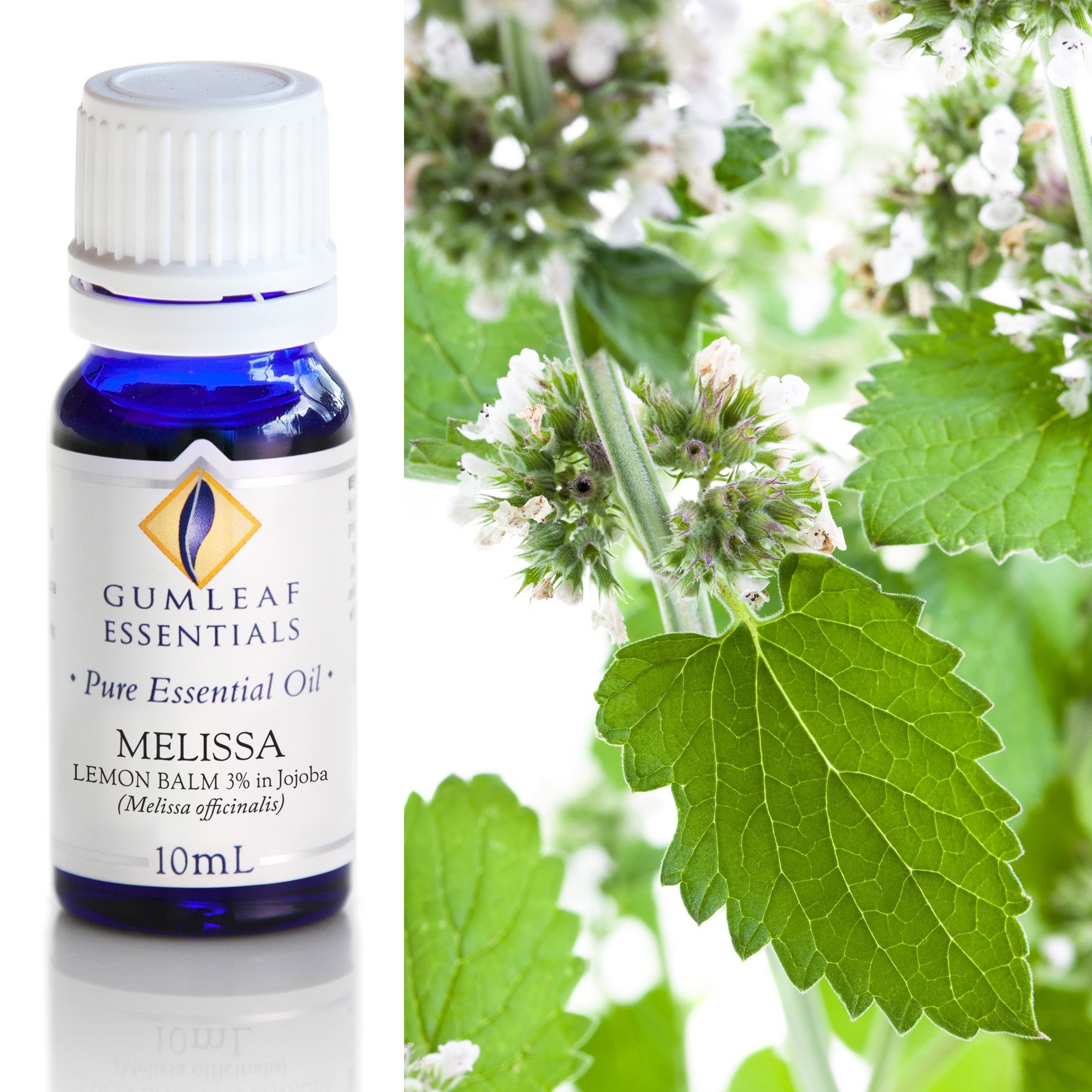 Melissa Pure Essential Oils