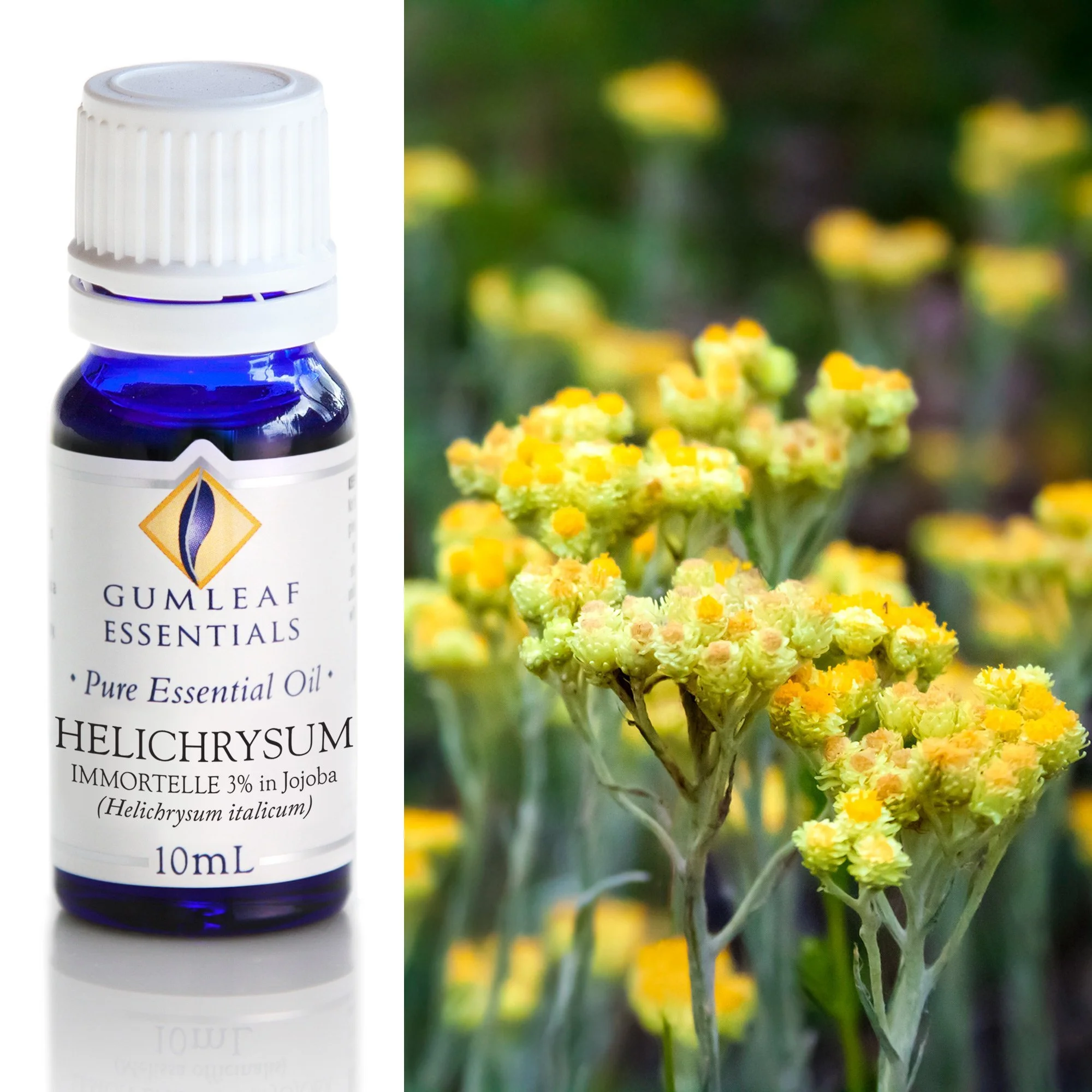 Helichrysum Pure Essential Oil
