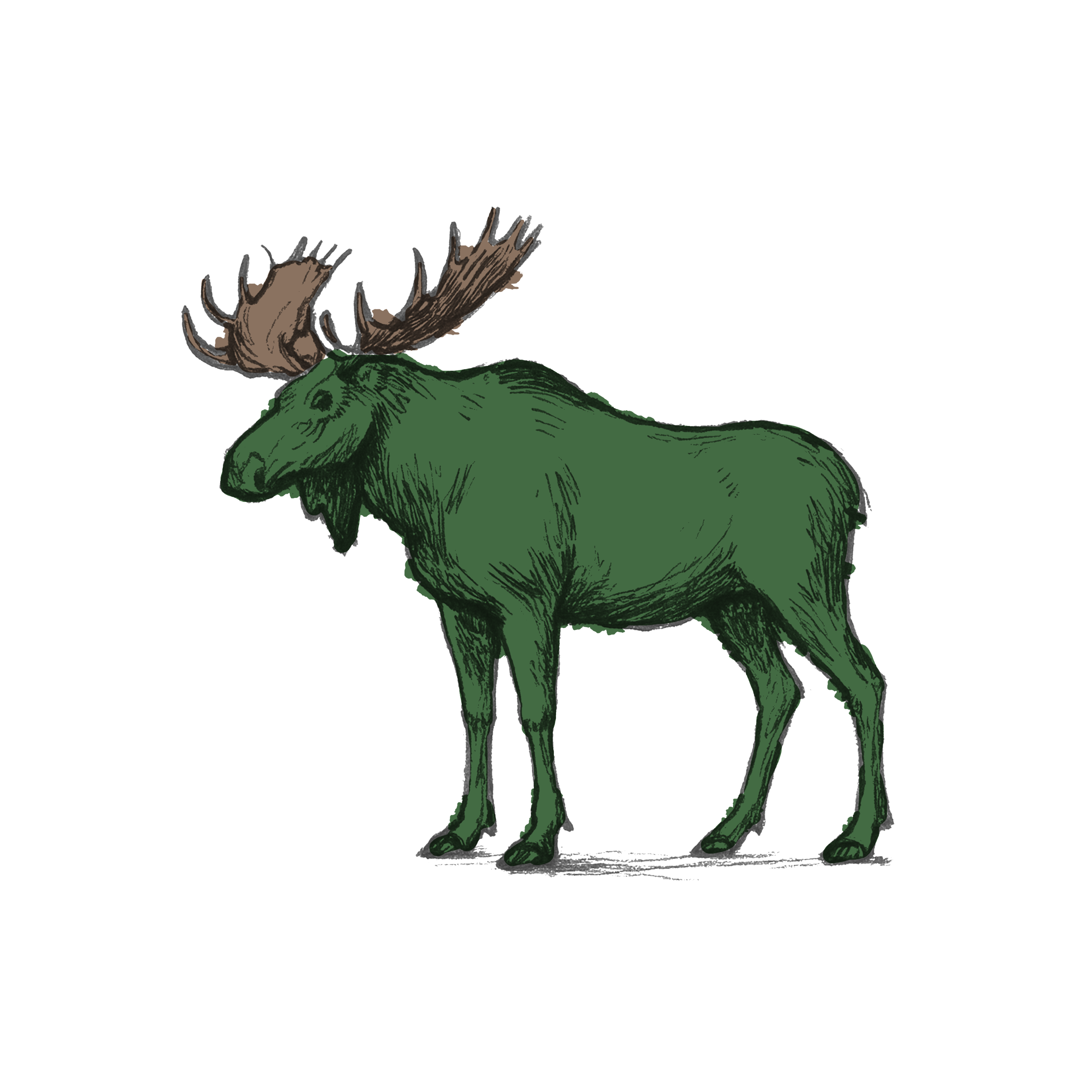moose.png