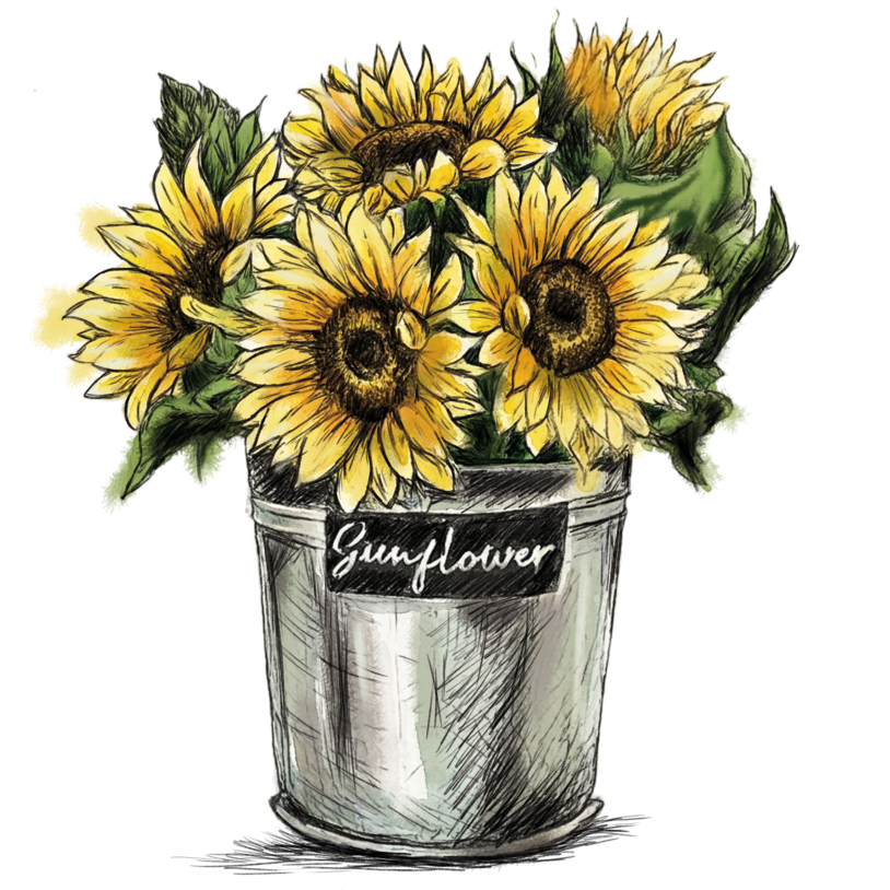 sun flower basket pn..._imresizer.png
